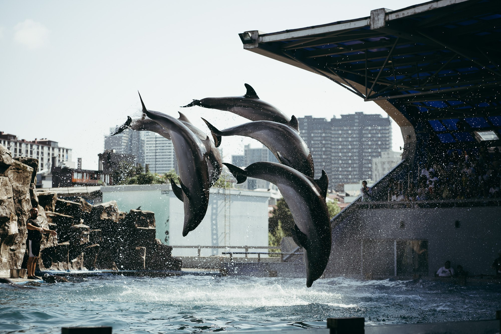 200 kilohertz. Stanislava Novgorodtseva — Photographer | Visual Artist | Educator