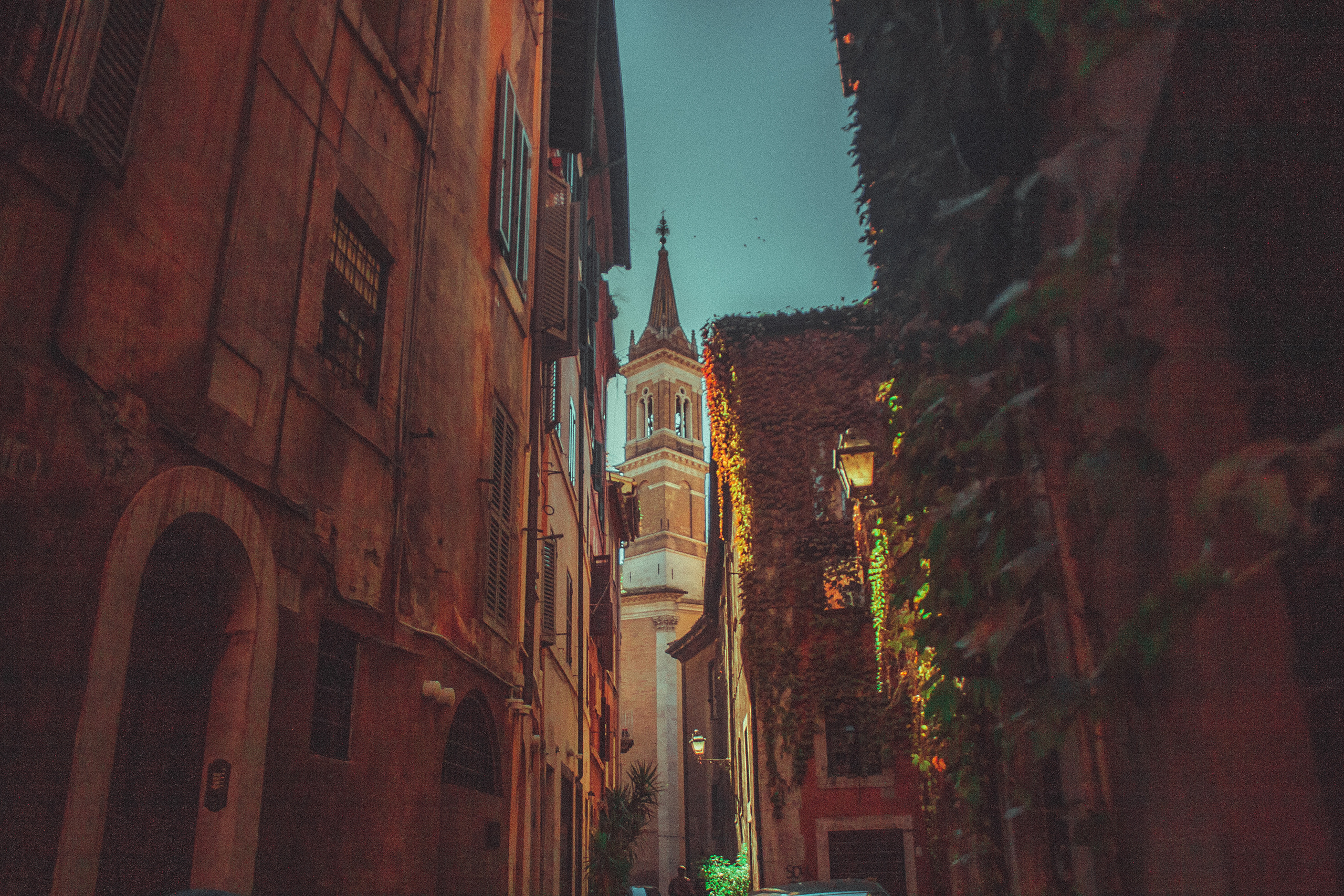 My travels. Dimitri Ilkov Photography — Capturing Life’s Moments in Edmonton, Cana