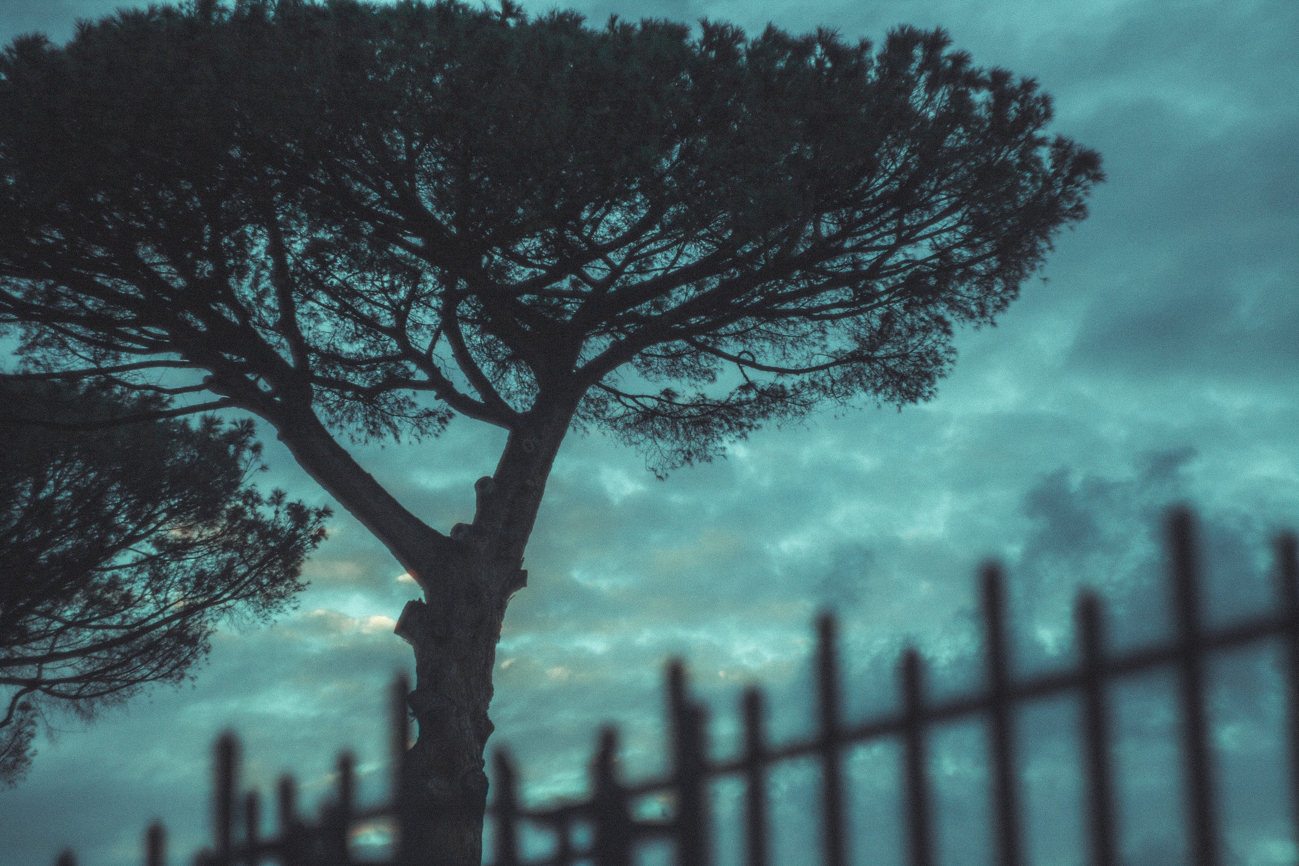 My travels. Dimitri Ilkov Photography — Capturing Life’s Moments in Edmonton, Cana