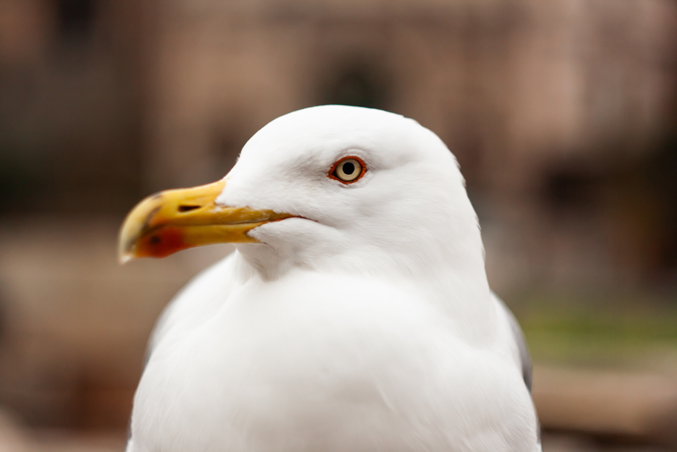 My travels. Dimitri Ilkov Photography — Capturing Life’s Moments in Edmonton, Cana