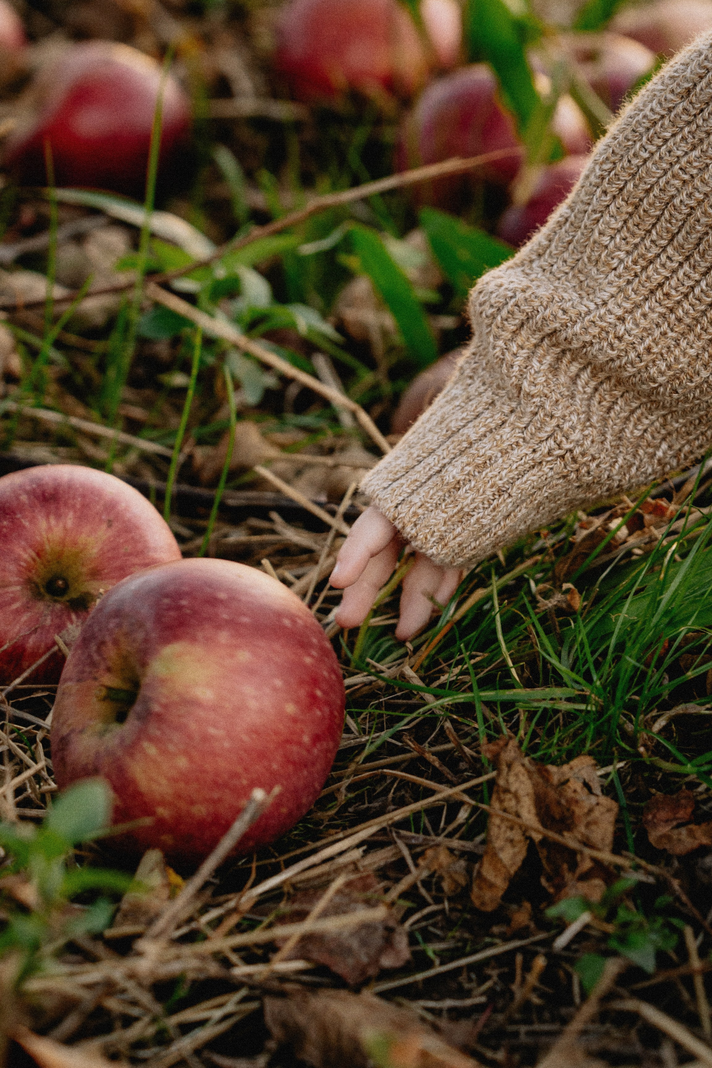 Family Photography in Nature – Candid & Beautiful Moments. Alisa Tant — Family and newborn photographer Bucks County, Montgomery county, Philadelphia, NJ
