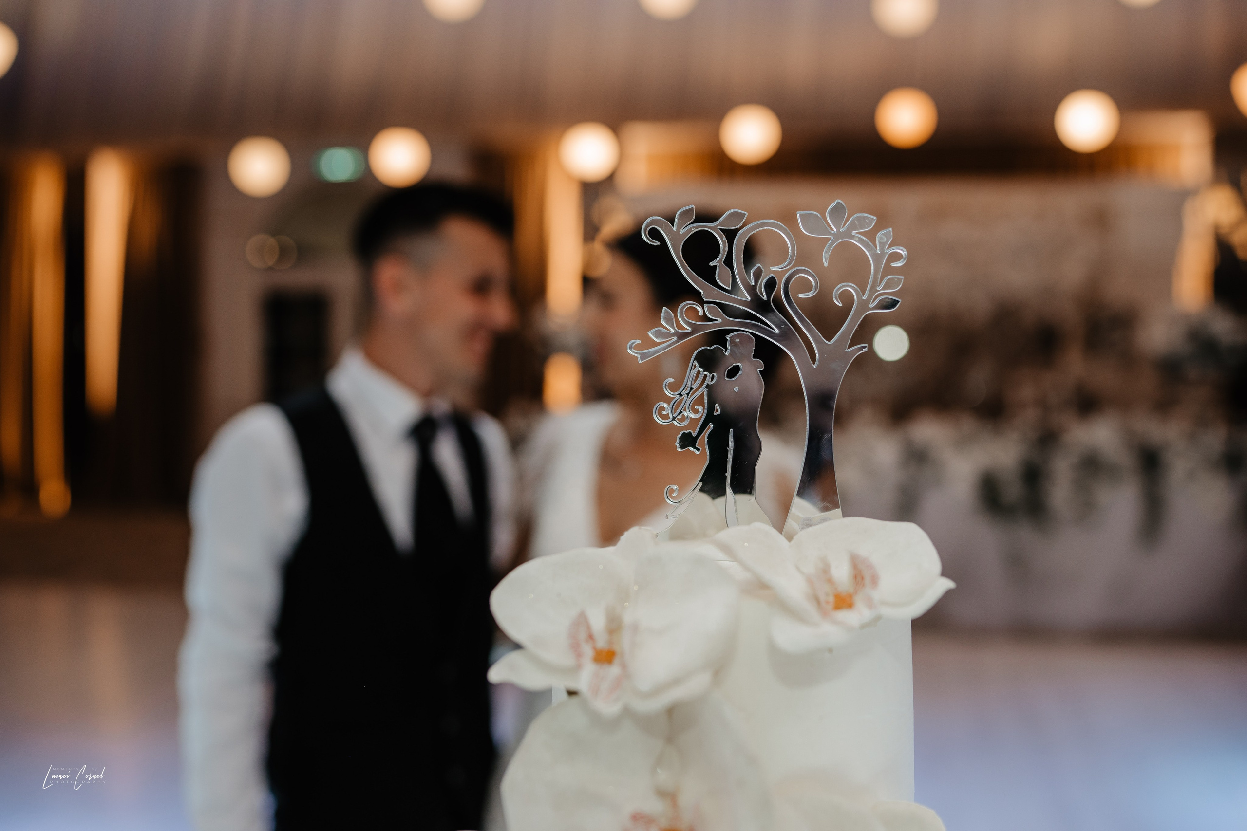 Amalia & Denis – Poveste foto de iubire. Fotograf de nuntă, corporate, botezuri, majorate și aniversări Roman, Lucaci Cornel