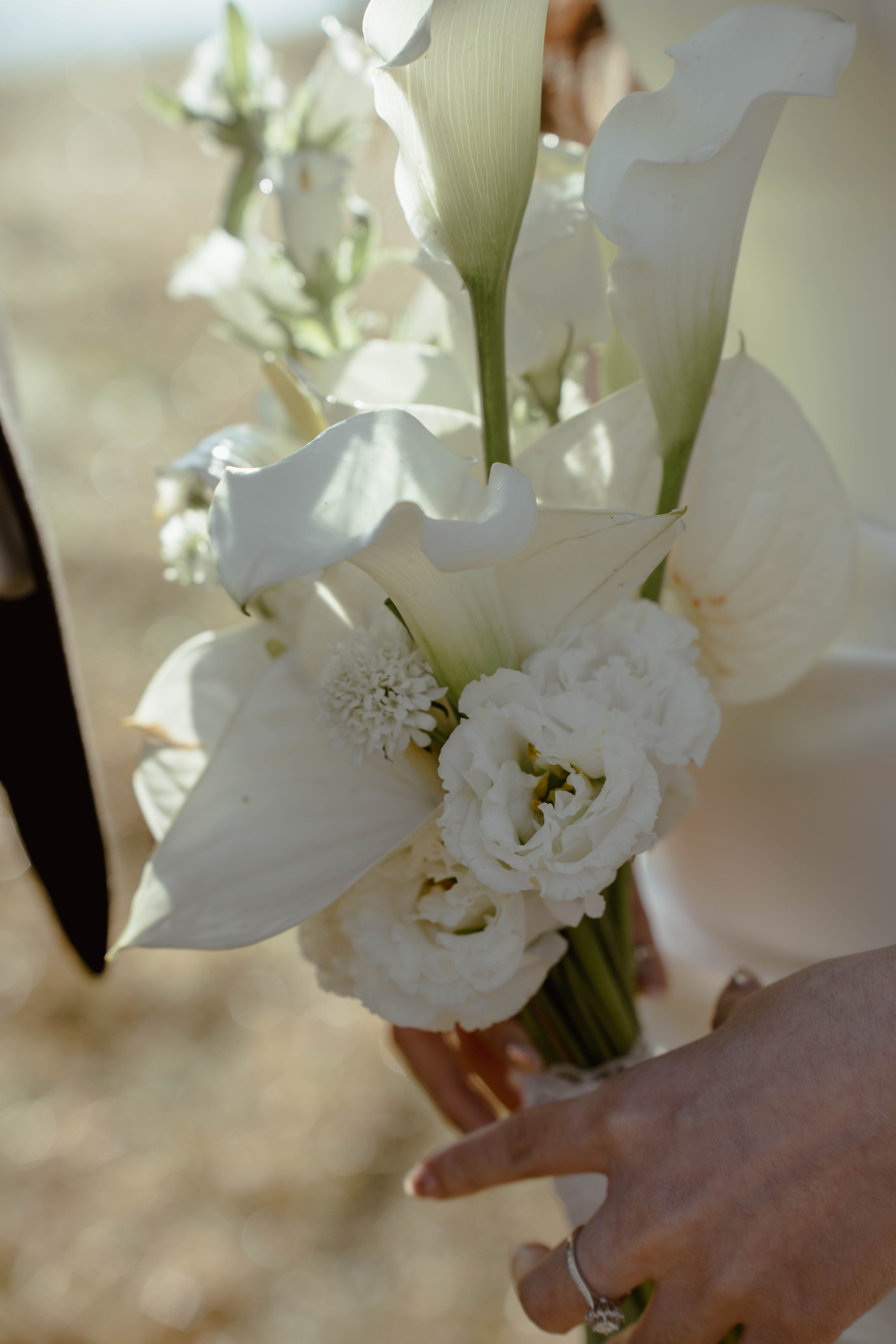 ĐL I KIM & VIET. WEDDING PHOTOGRAPHER IN VIETNAM