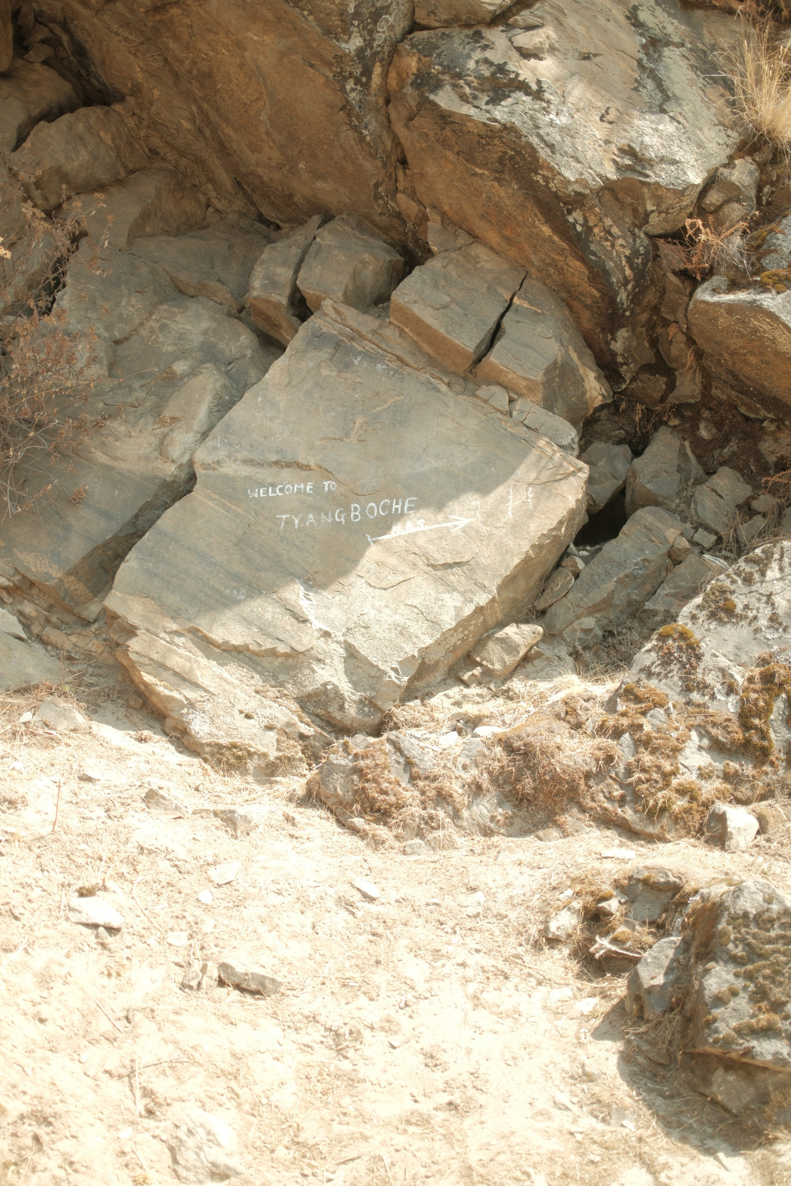 Nepal. Patricia Morenci — Mountain Adventures for the Wild at Heart