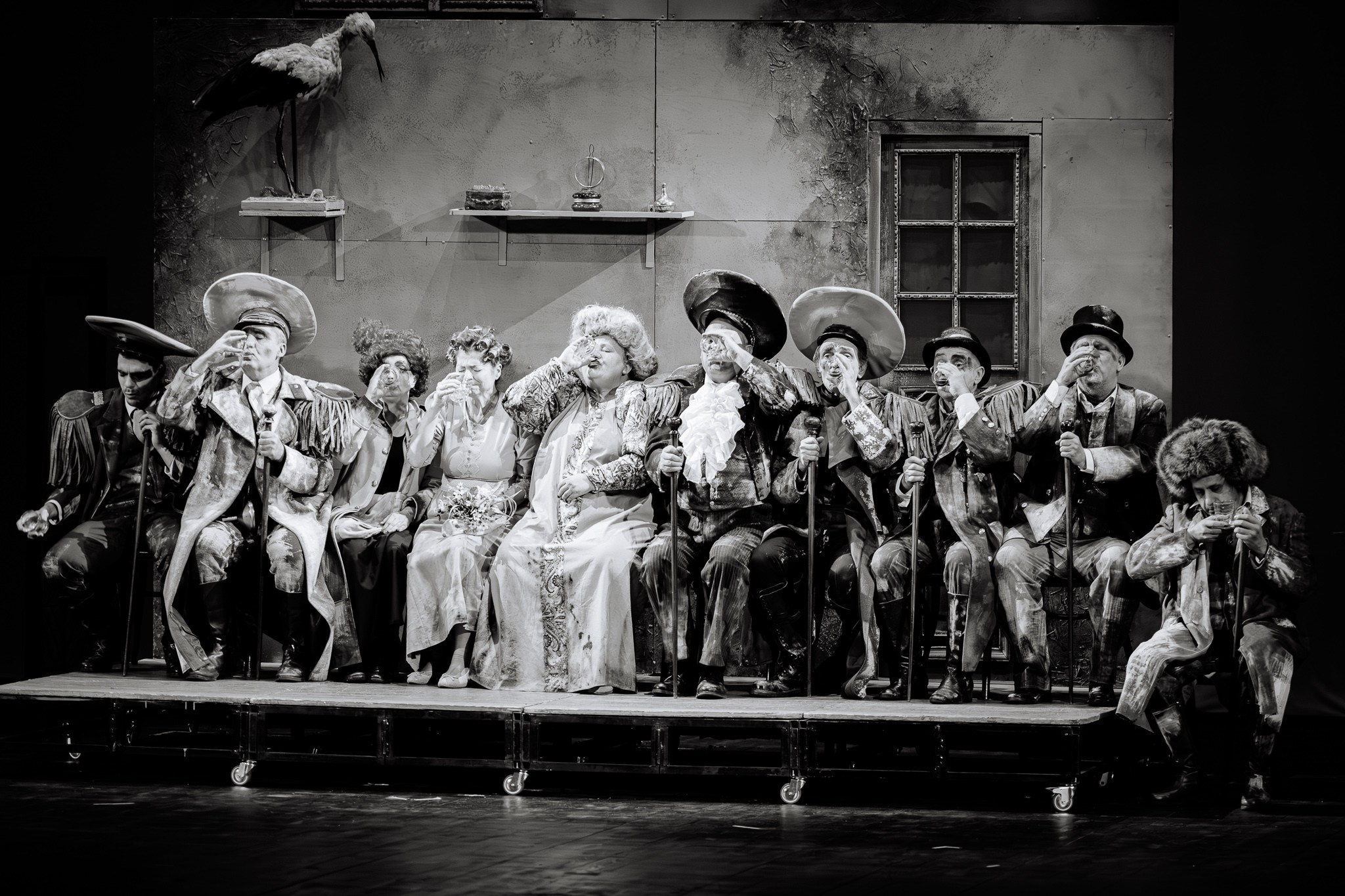 TSA | Casatoria, 2025. Fotograf profesionist | Brasov, Romania | Nunta si Evenimente