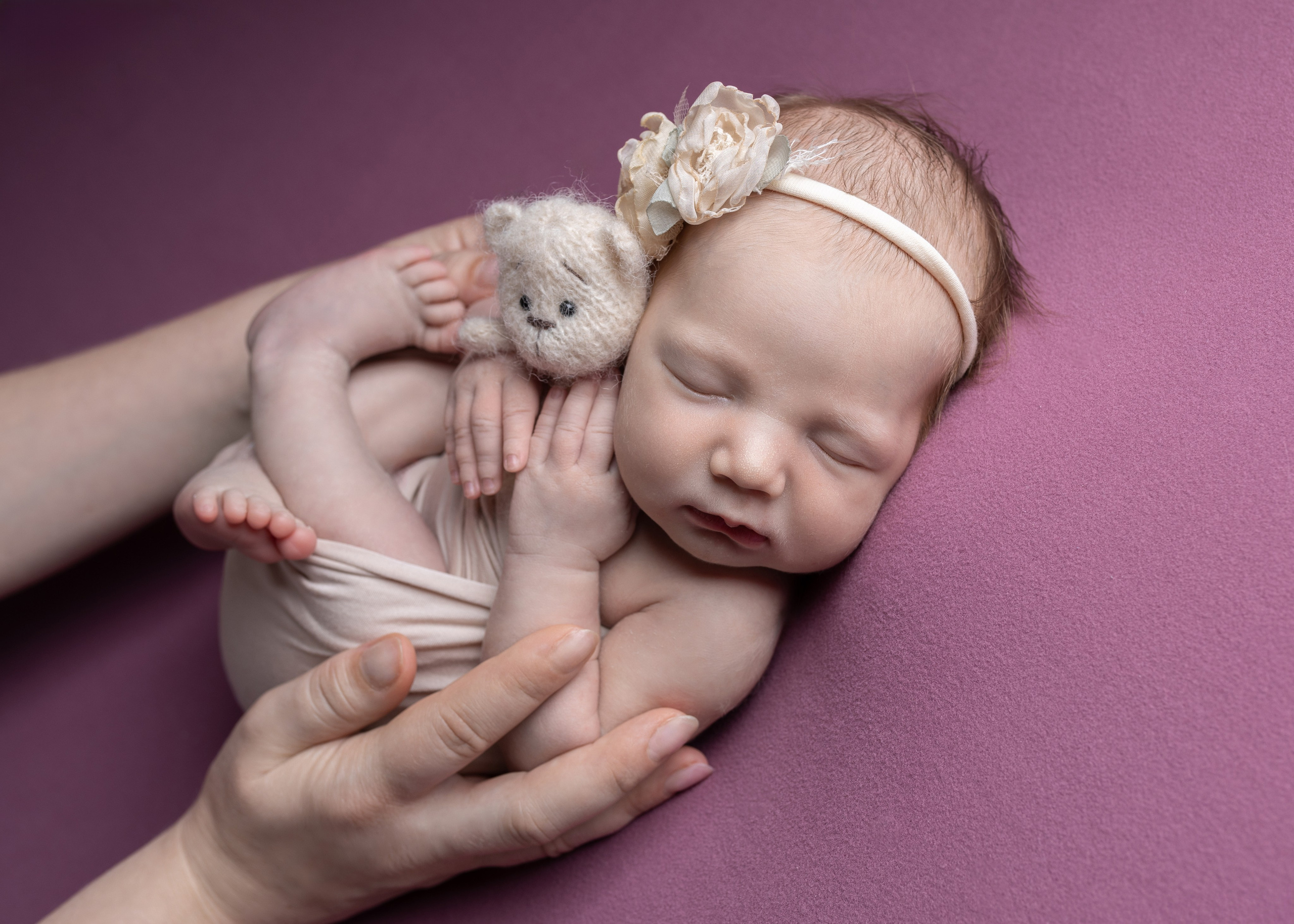 Каталог 24 Newborn. Катерина Шустерман — фотограф Newborn, семейный в Израиле