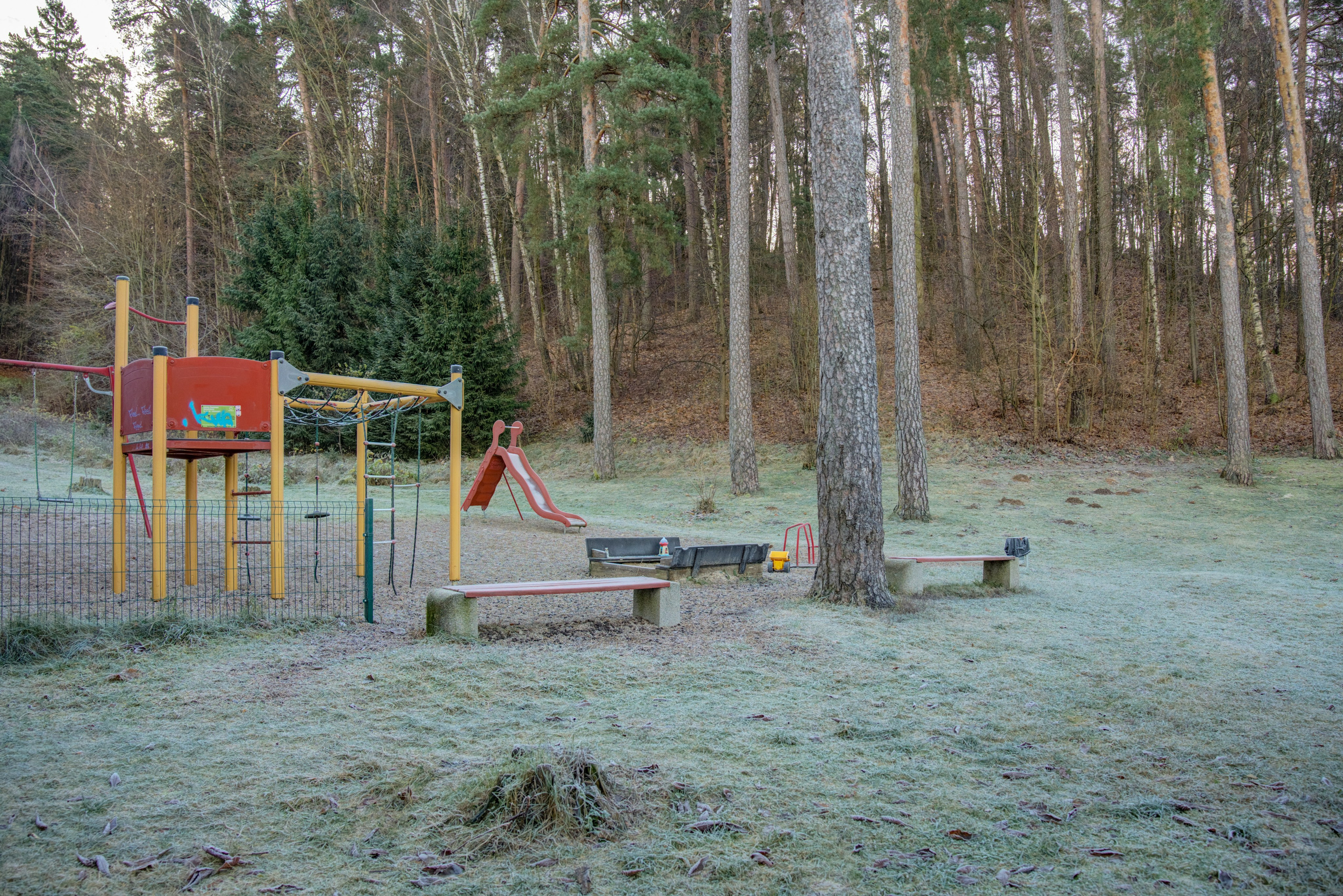 Dronas Antakalnis, Kanklių 10. Elina Sapiega fotografė Vilniuje