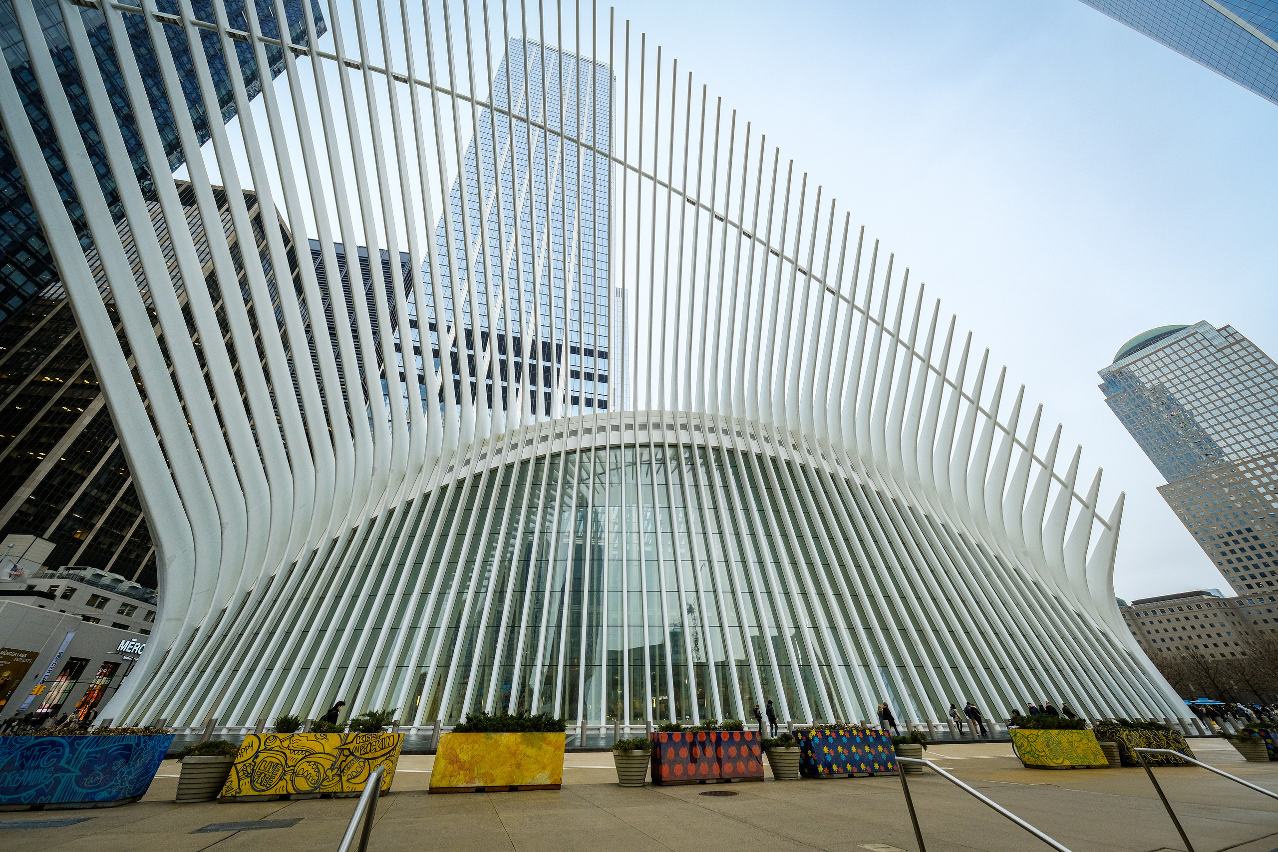 NEW YORK / 2025. Reportage concert portrait photography in the San Francisco Bay Area