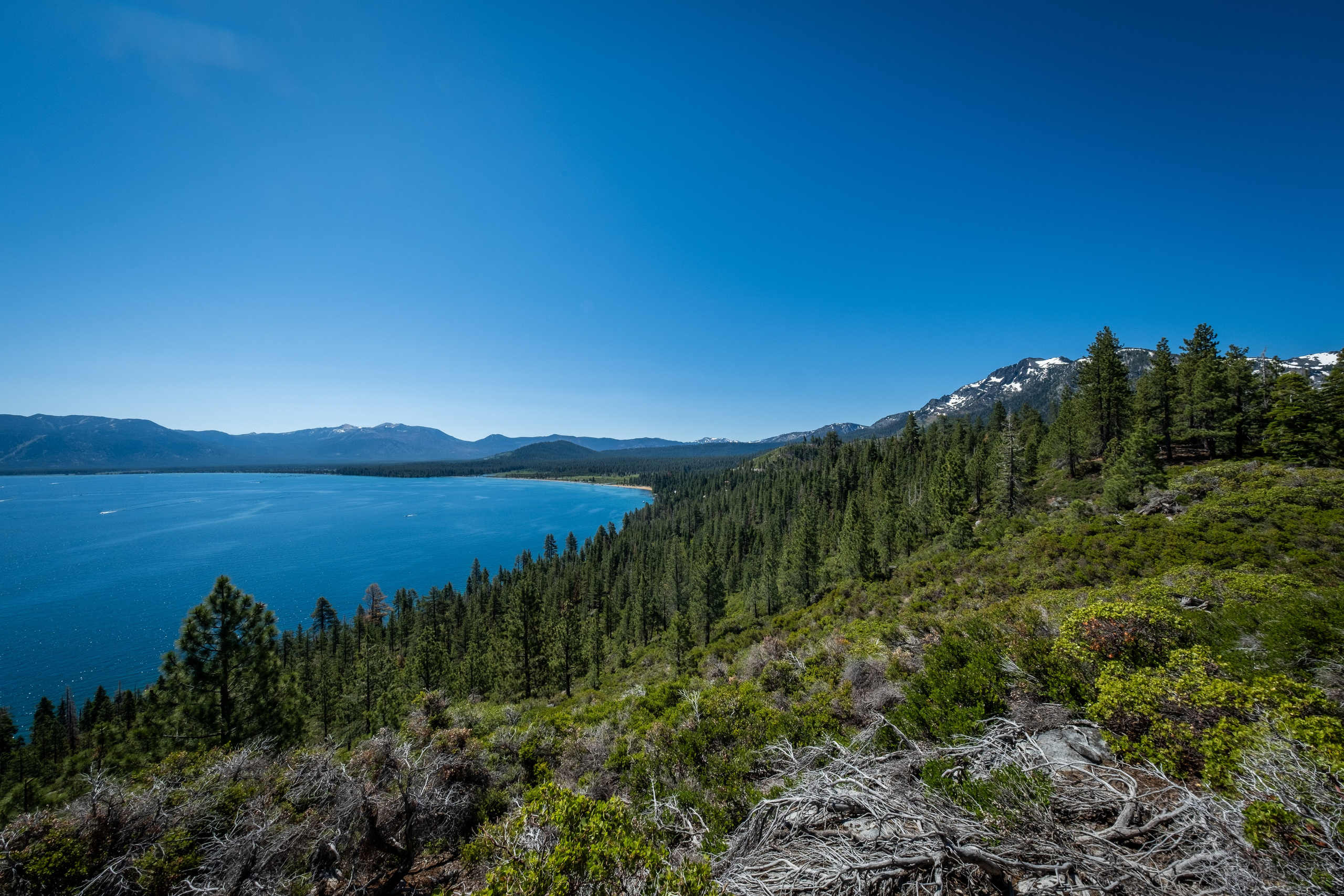 TAHOE. Reportage concert portrait photography in the San Francisco Bay Area