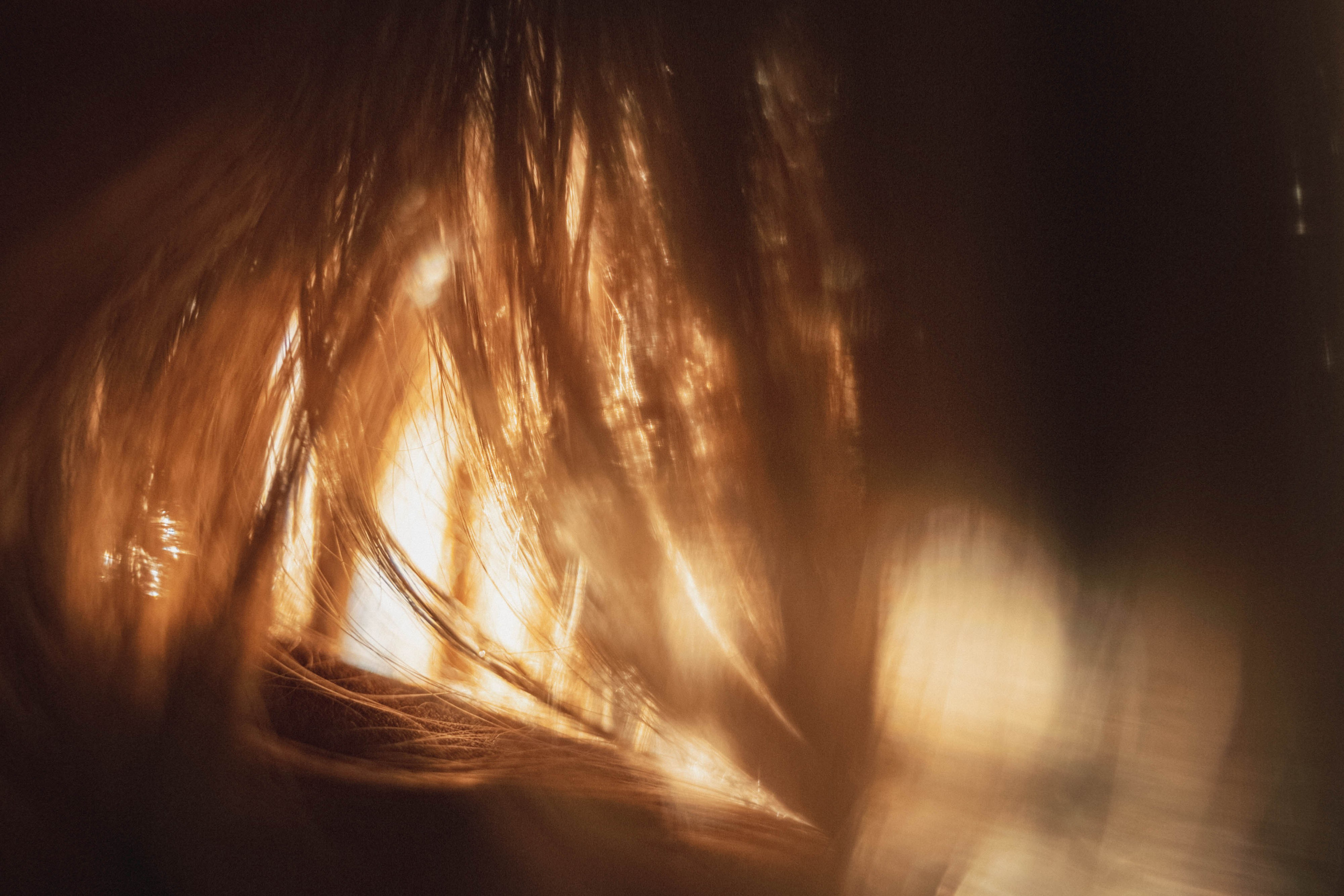 Sunset. Žukov Studio