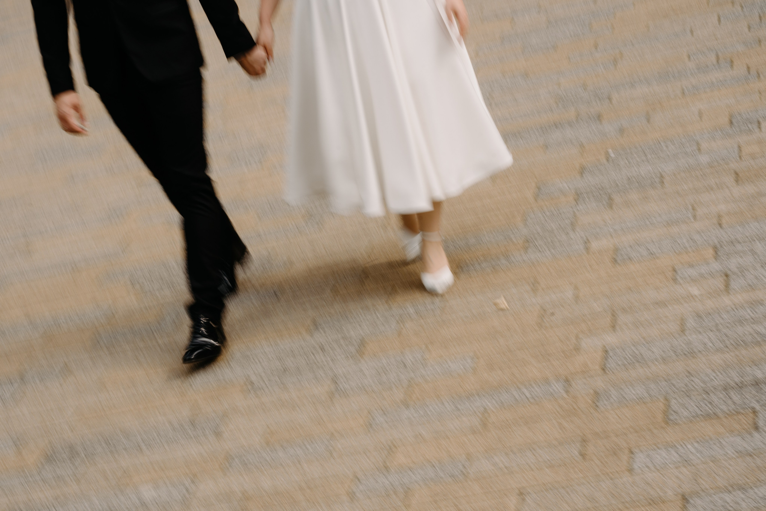 Stefan & Dorotea. NSJ — Wedding Studio