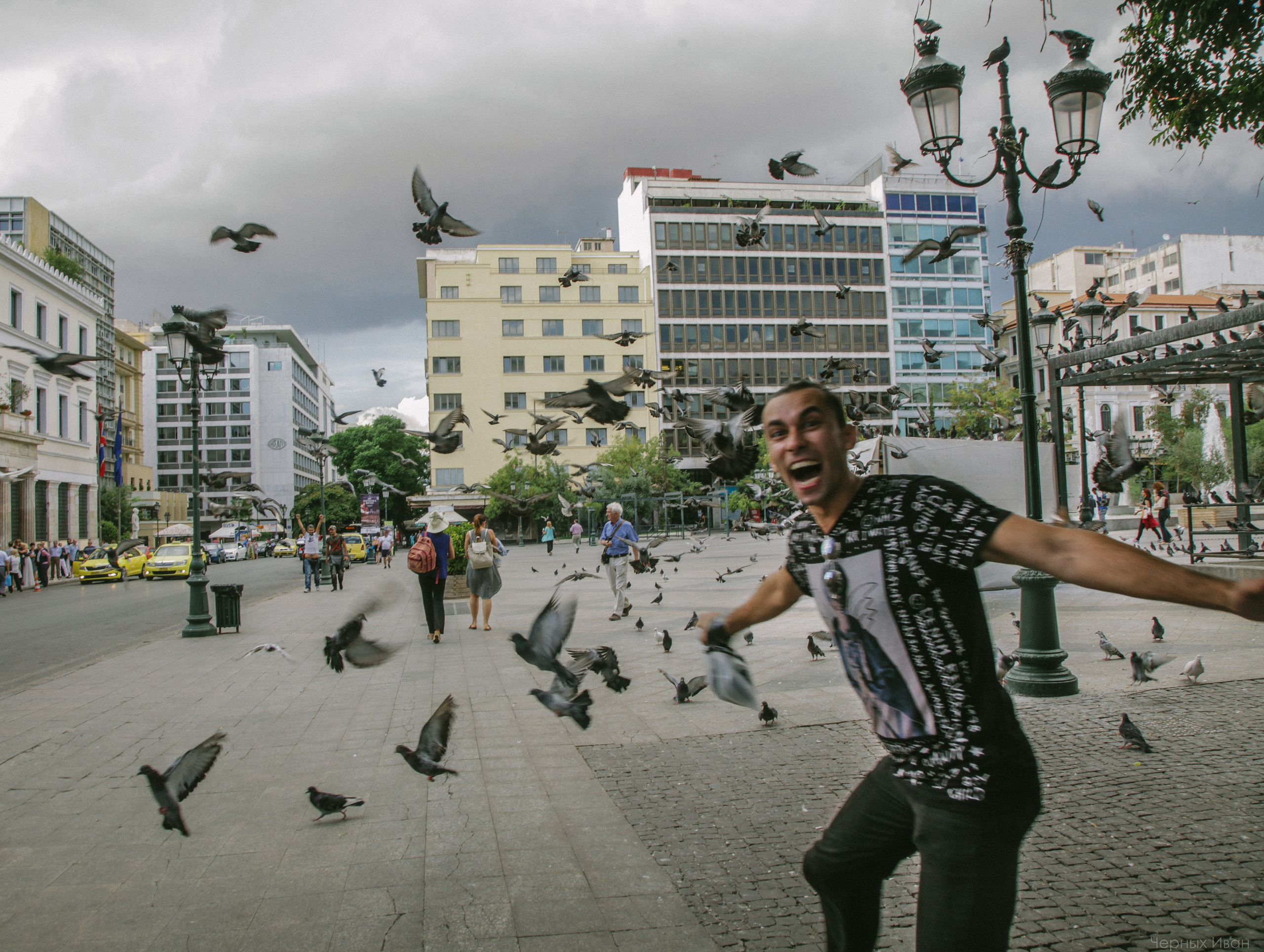 Пернатый психоз. Стрит-фотография, полная абсурда, идиотизма и красоты