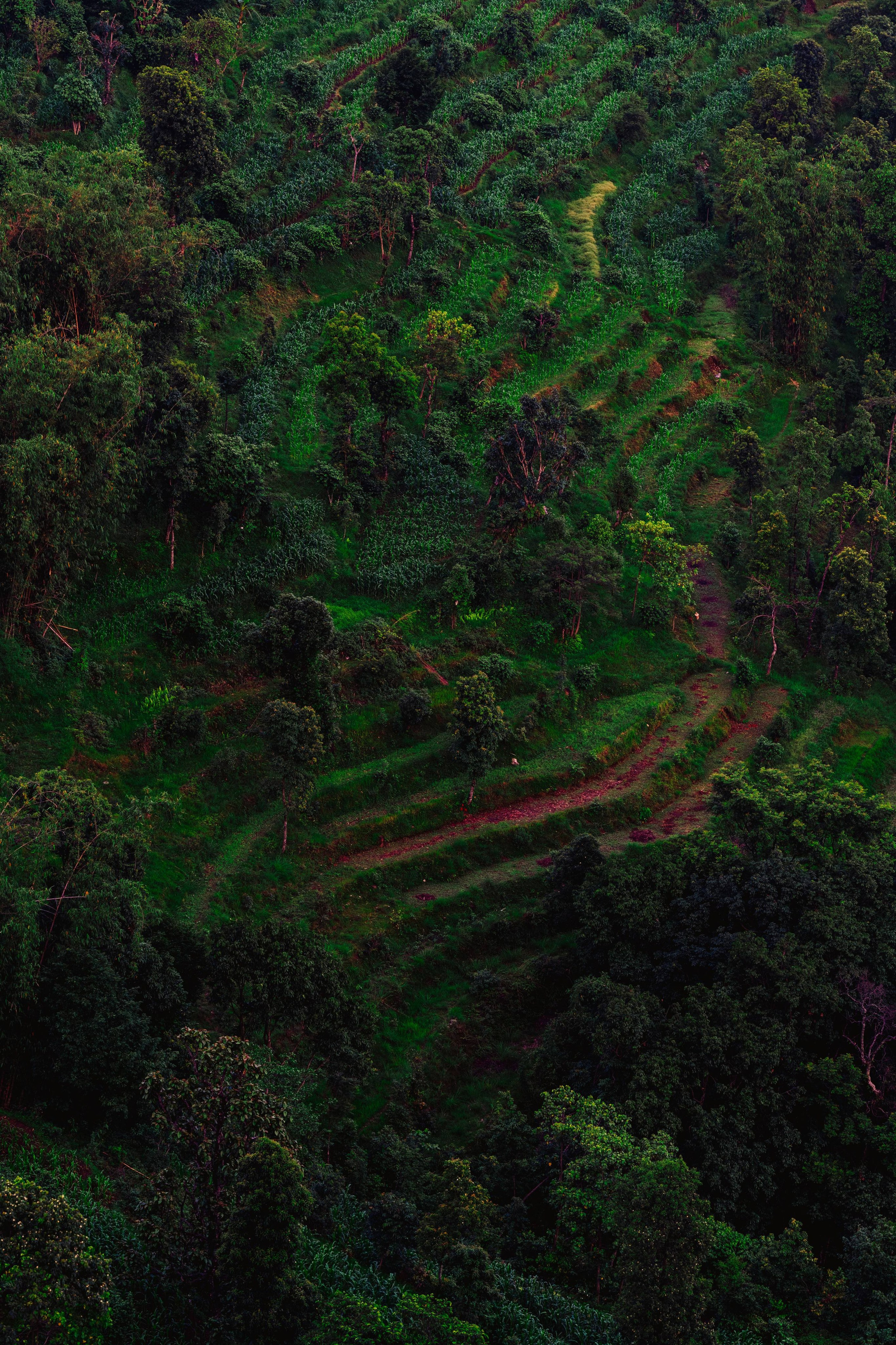 Nepal. Artjom Kutuzov Photography