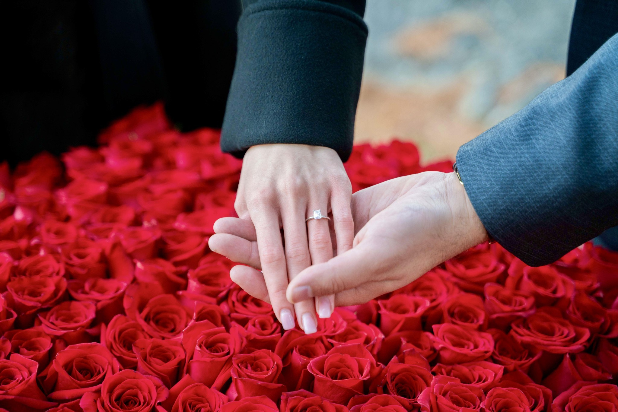 Engagement-miami. Stefanovich Photography | Miami, FL