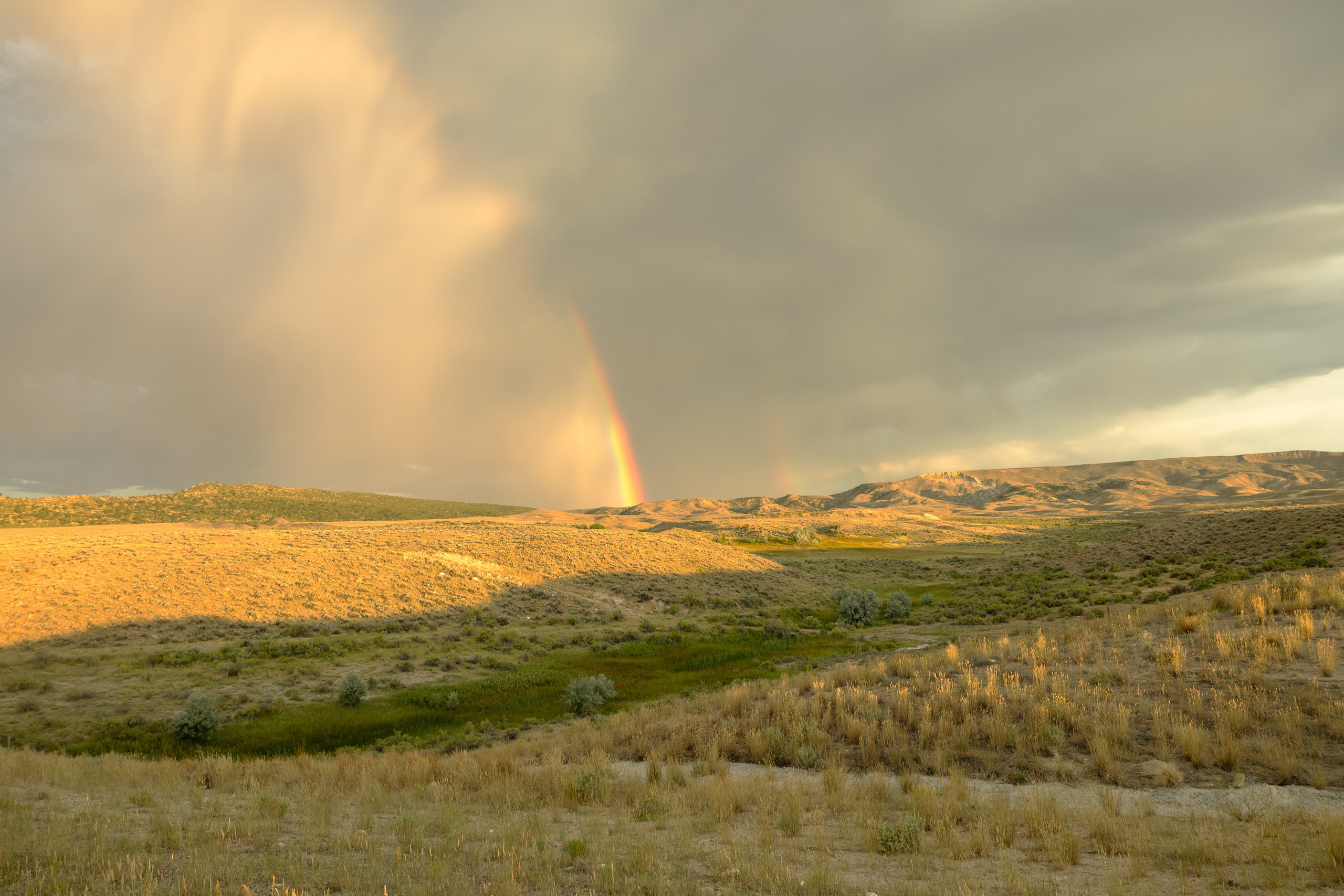 Wyoming. Family Lifestyle Photography