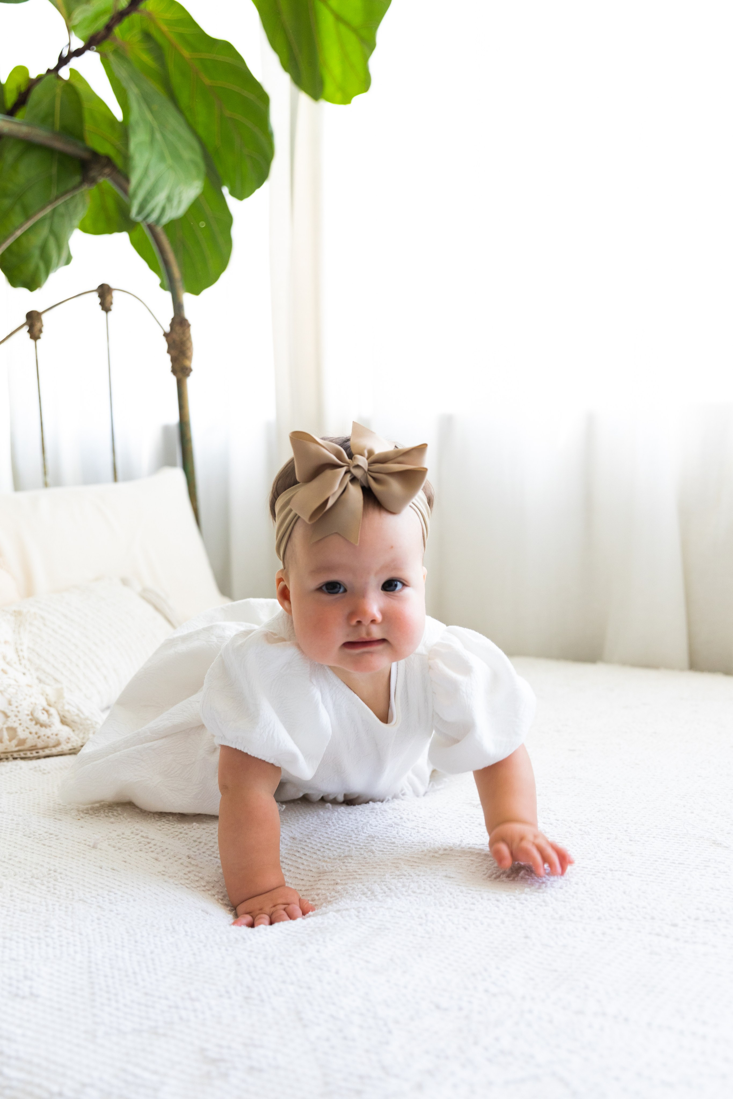 Liu | Studio. Utah Family Photographer