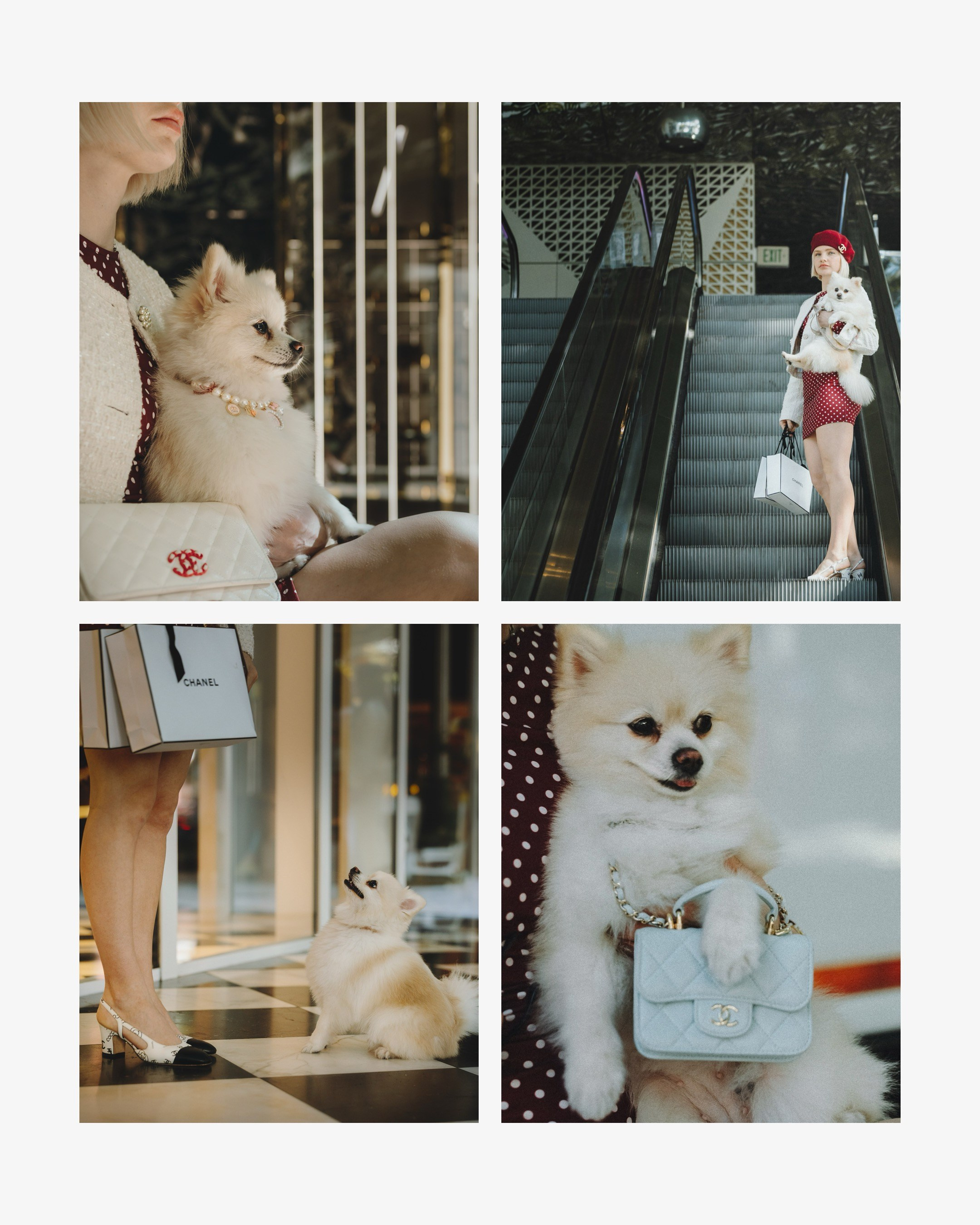 Lexy & Tatiana. Pet Photographer Viktoriya Aleshenko