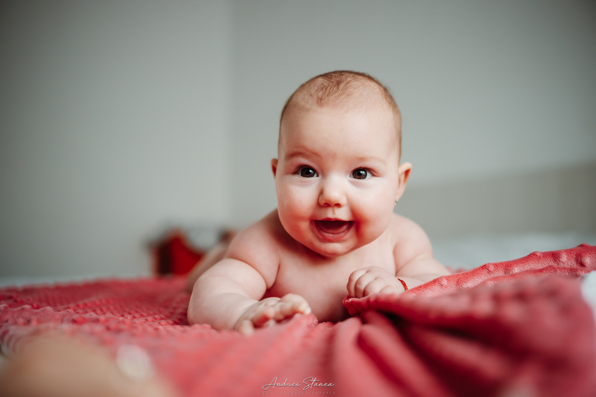 Zenayda. Andrei Stanea