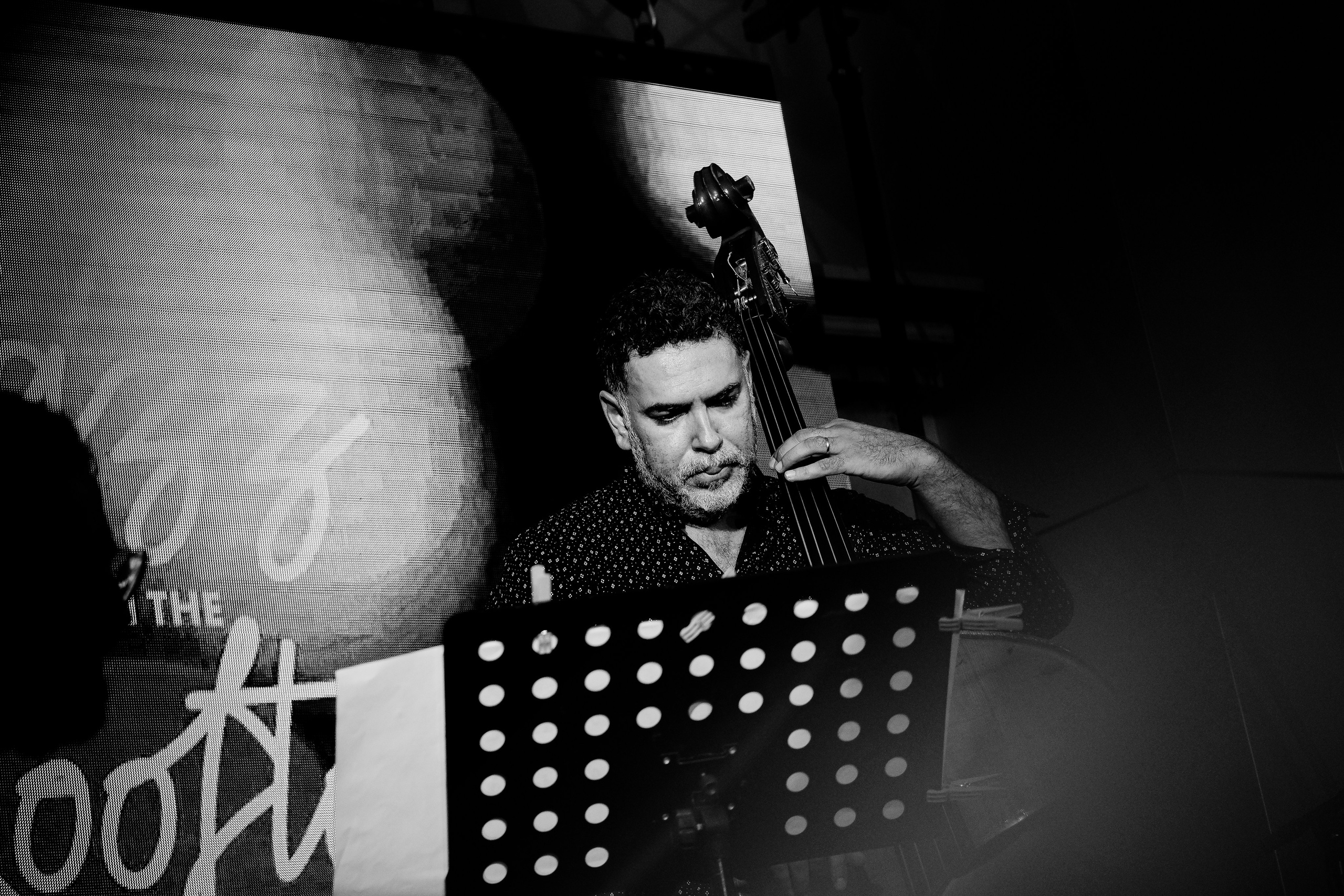 Razvan Cojanu. Hornetart