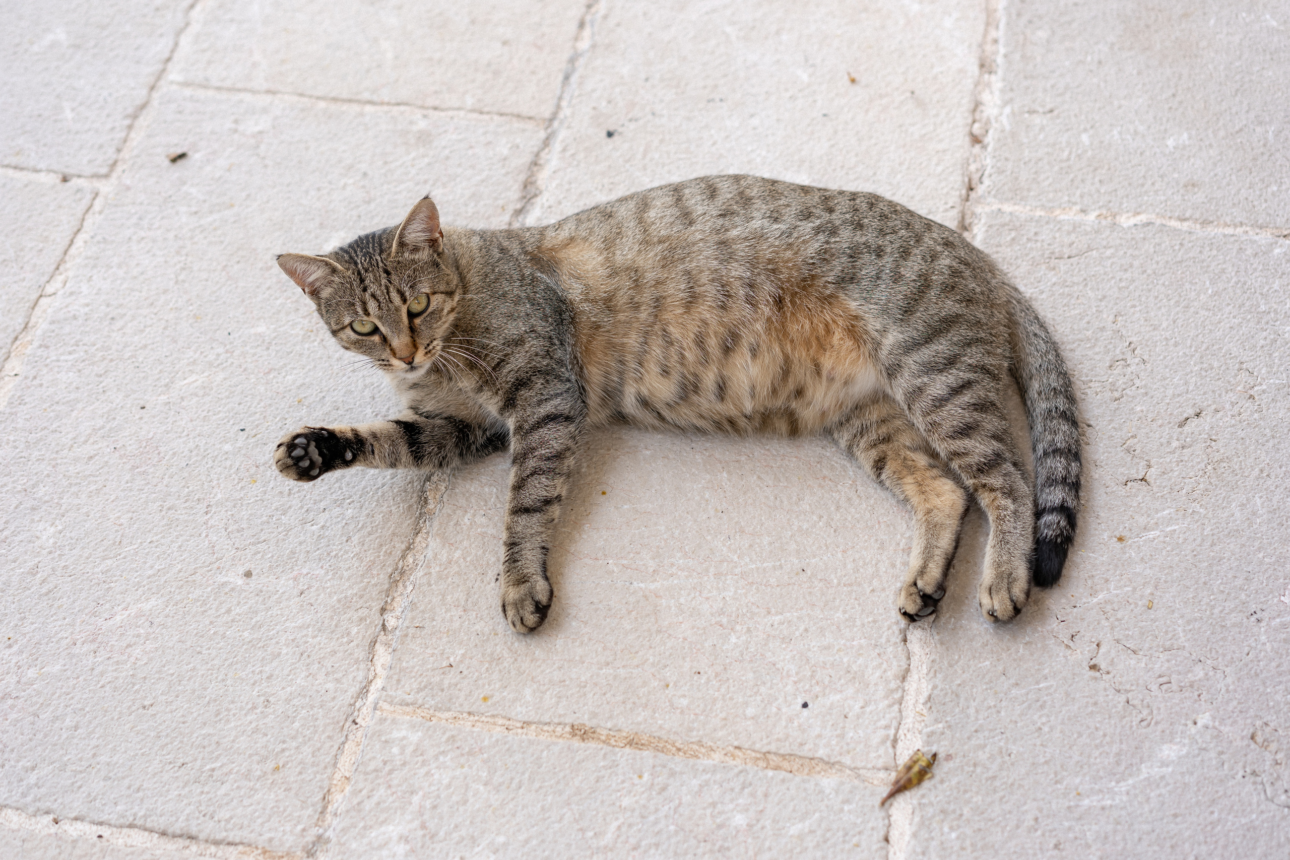 Intimno i udobno venčanje u Vili Nikčević u Crnoj Gori