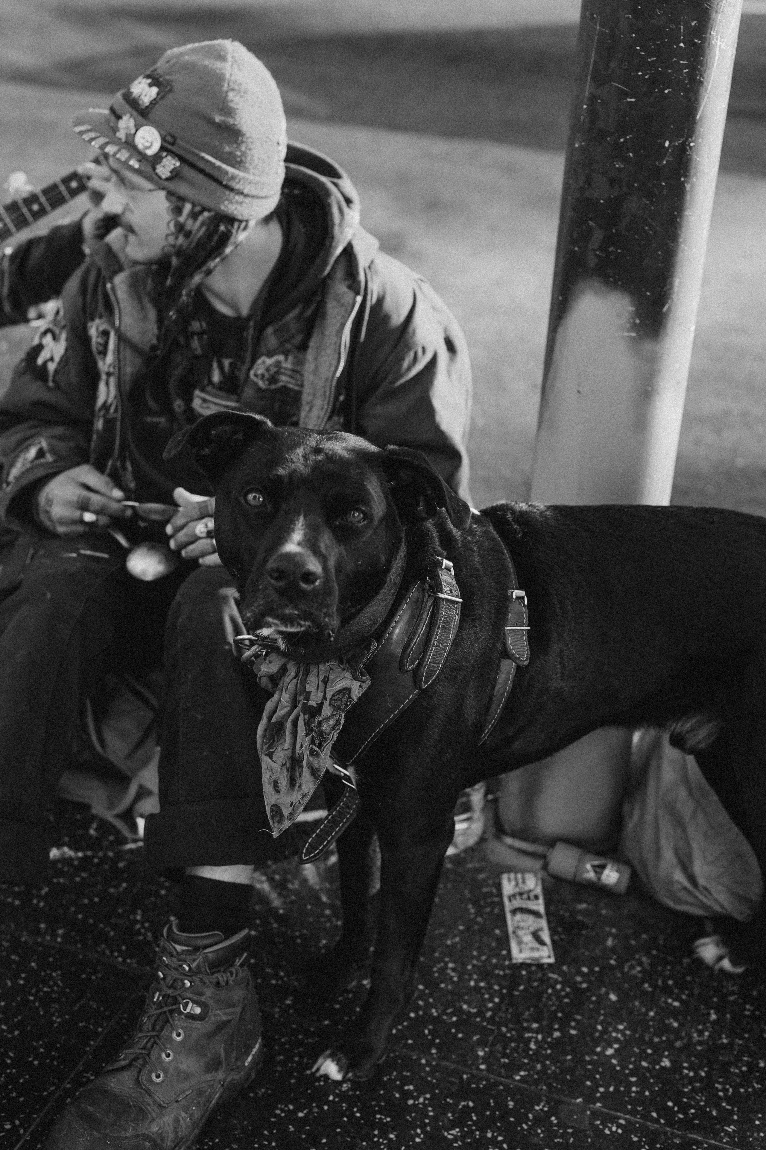 LOS ANGELES STREET. TETIANA UDOVYCHENKO PORTRAIT PHOTOGRAPHER