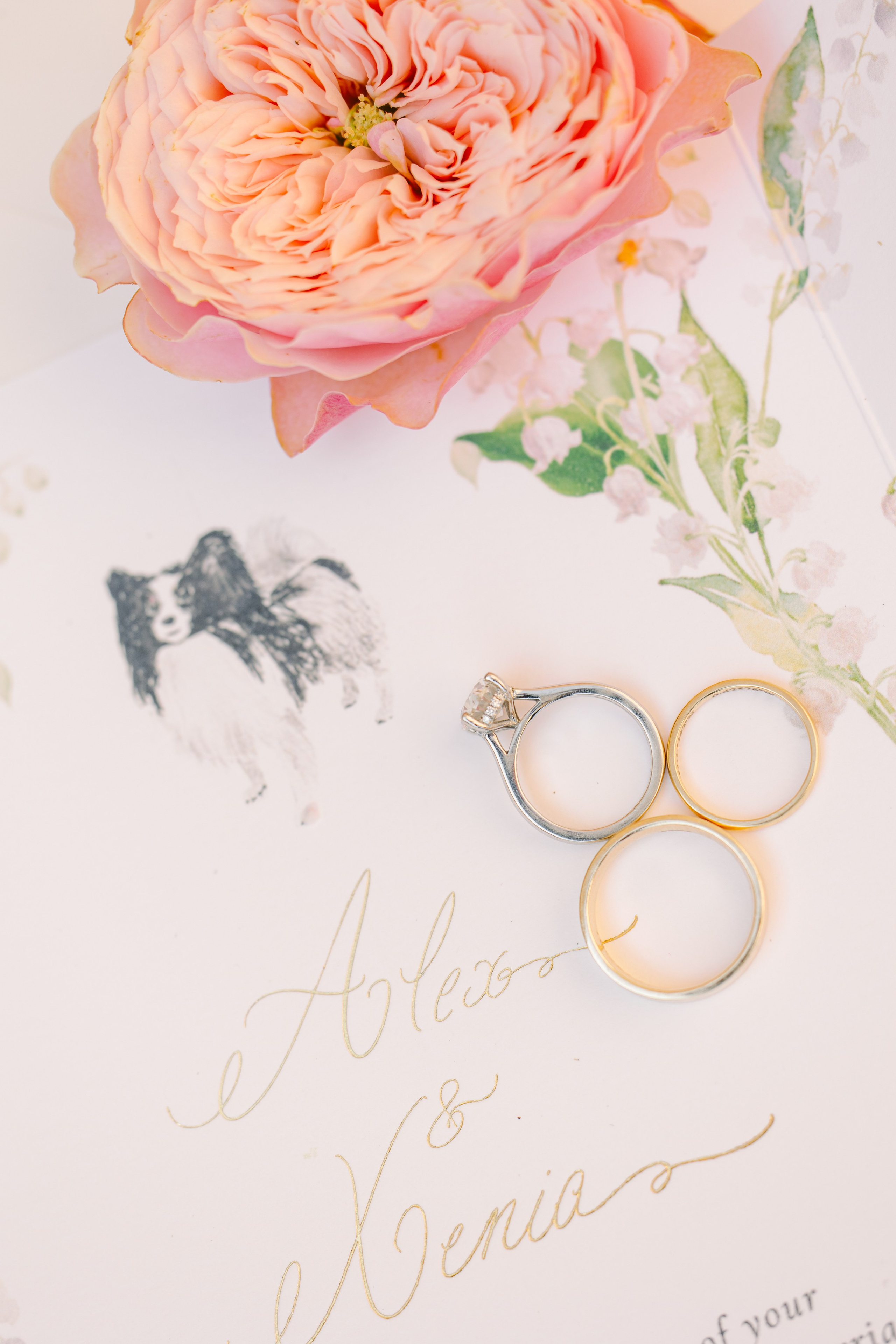 Xenia & Aleksey. Photographer in Paris