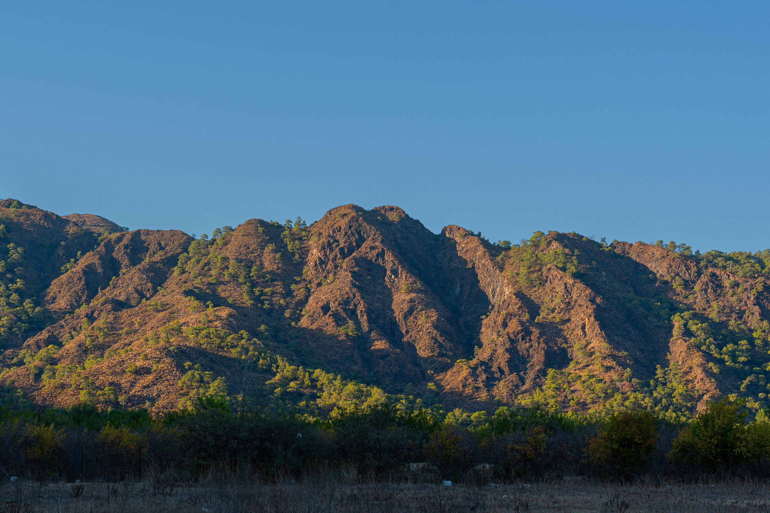 TURKEY & NATURE. UNRATED PHOTO