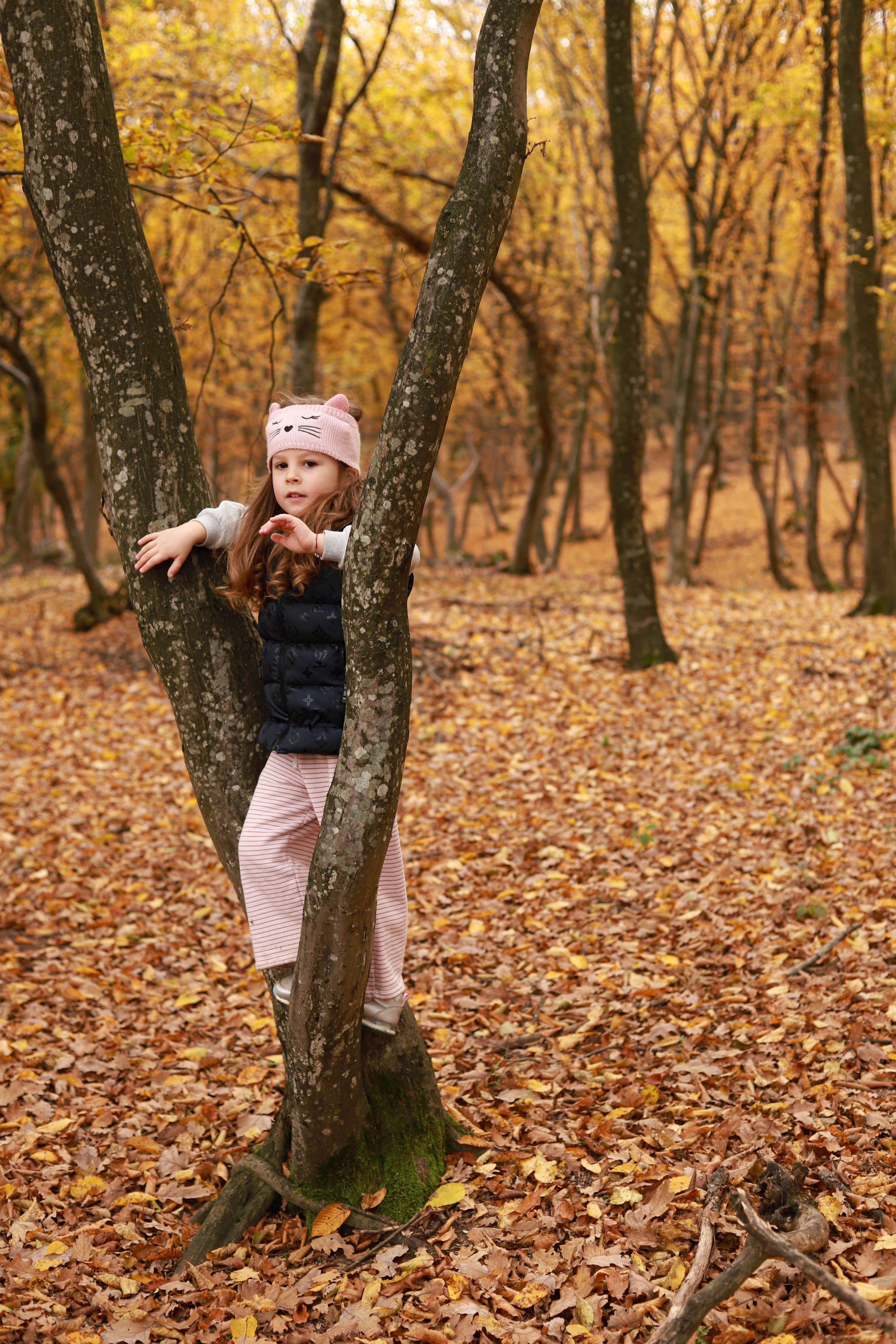 Vaida’s Forest. Family and Portraits photographer Diana Andoni