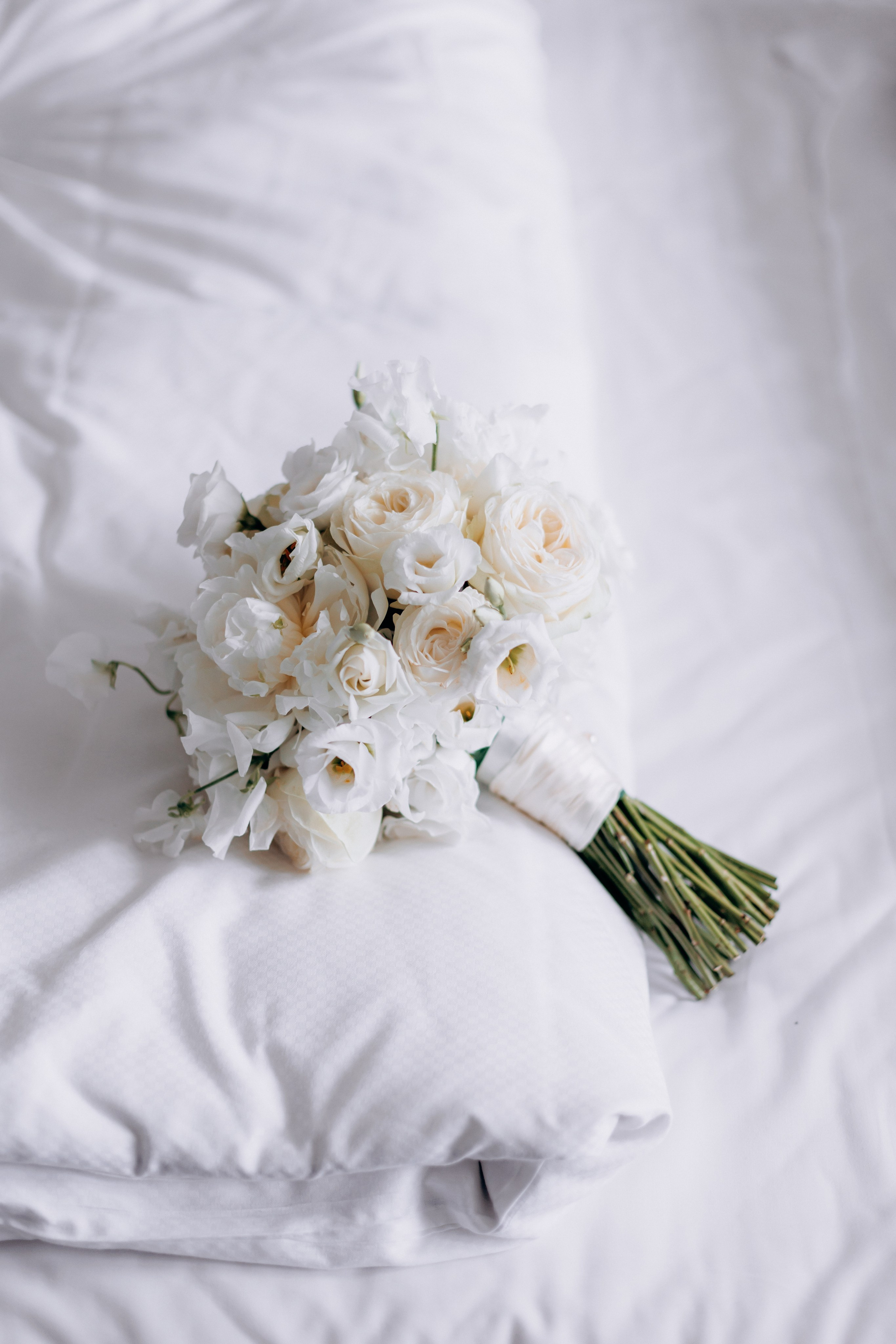 Snezhana & Max. Wedding and Family Photograph