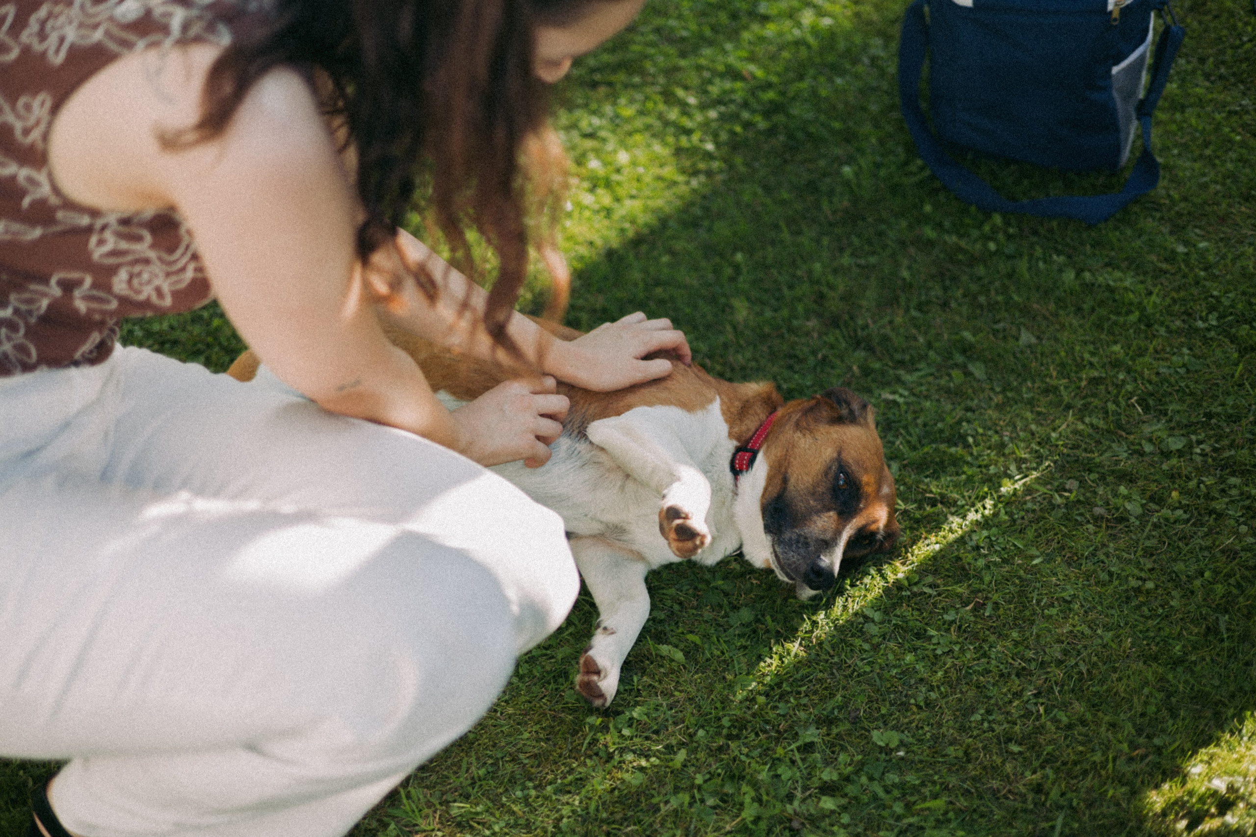 Vasara sode. Портретный фотограф Александра Самозванова