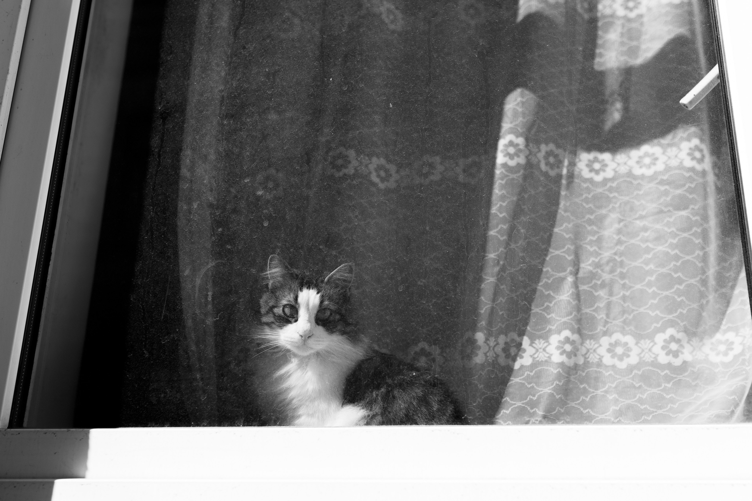 Monika ir Vytautas — miestu alsuojanti trumpa jaunųjų fotosesija Kaune