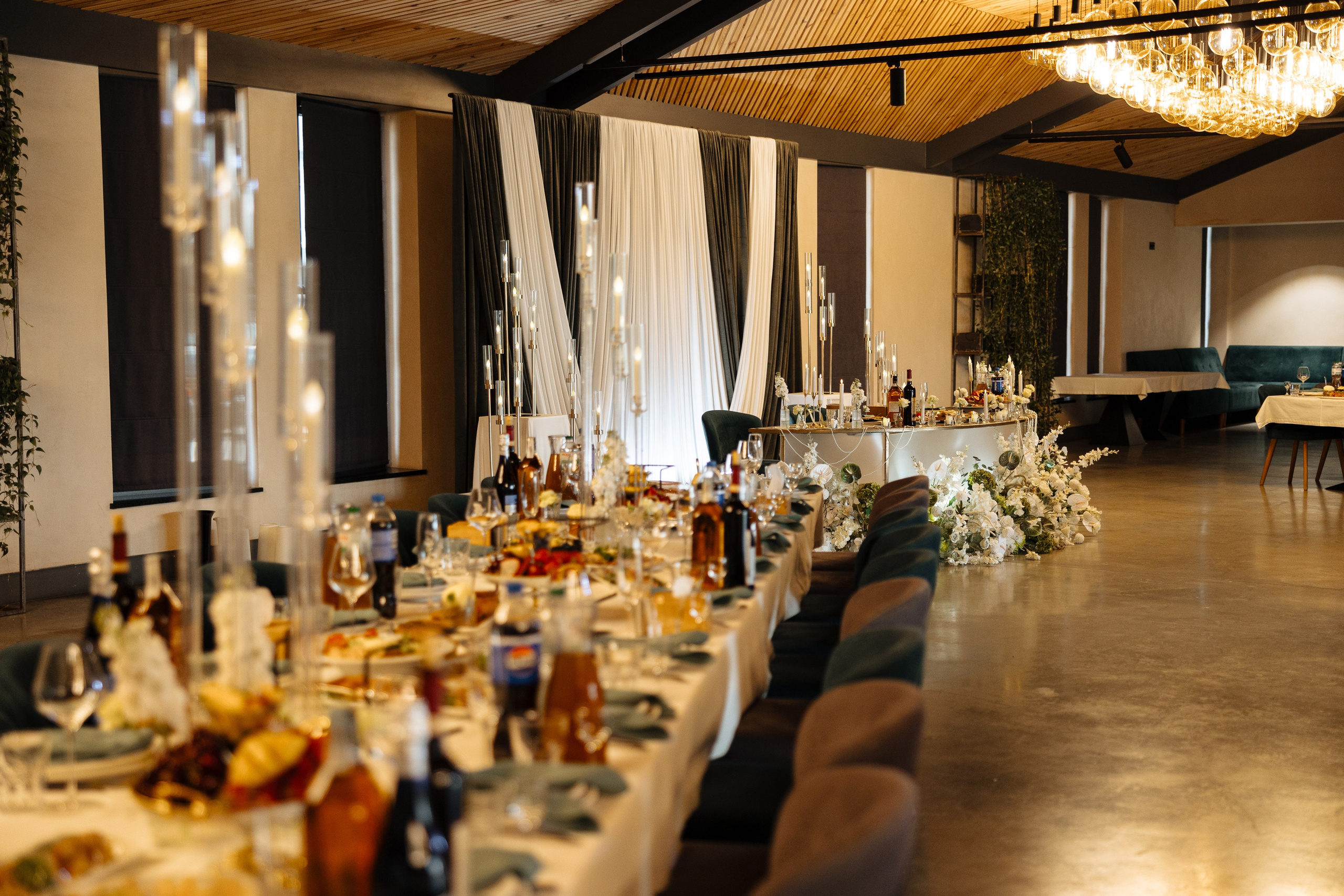 Diana Vlad. Ірина Терещук