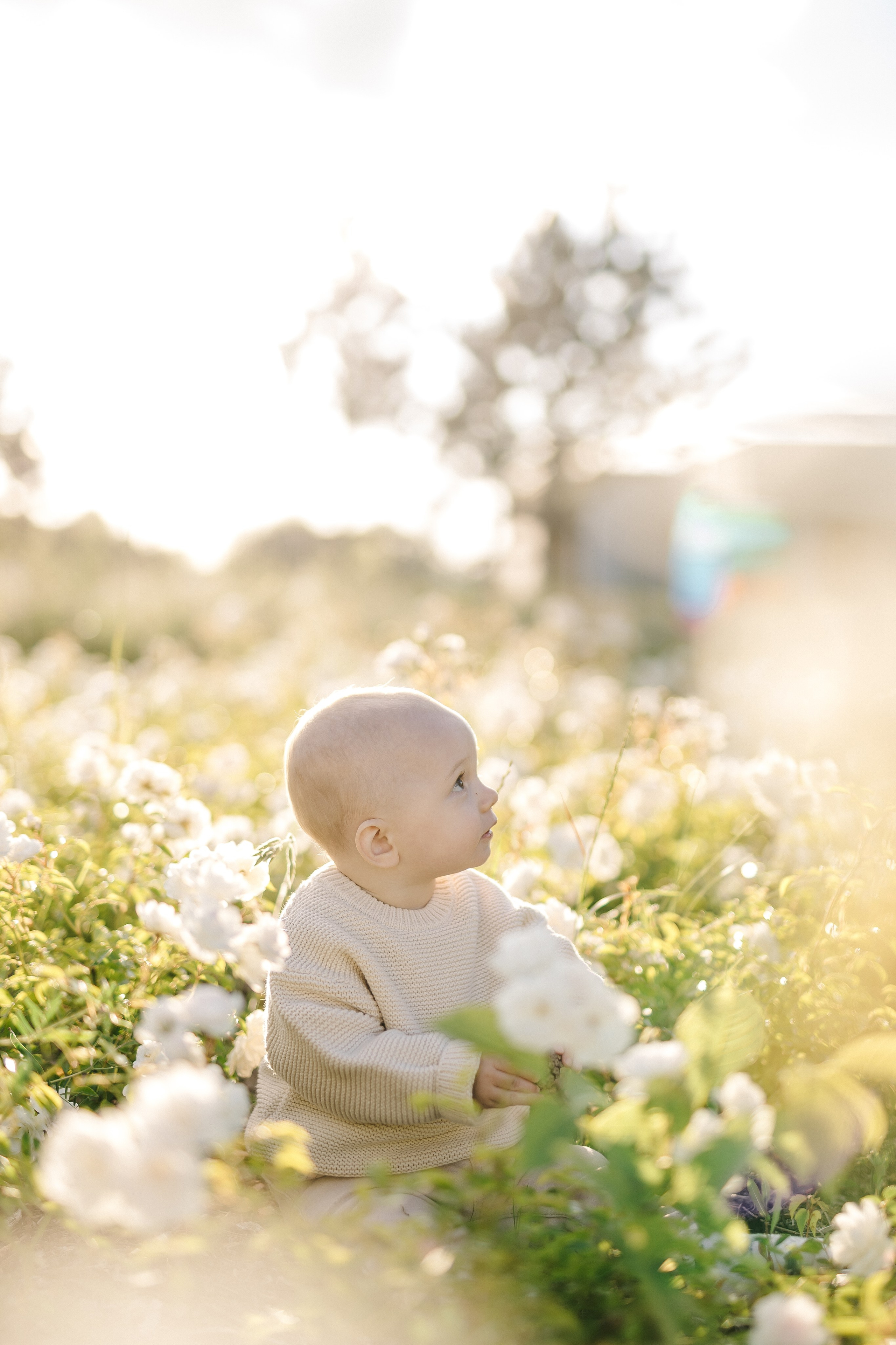 Mini sesja w plenerze. Fotograf Łódź - sesja ciążowa, noworodkowa, dziecięca. Studio w Łodzi
