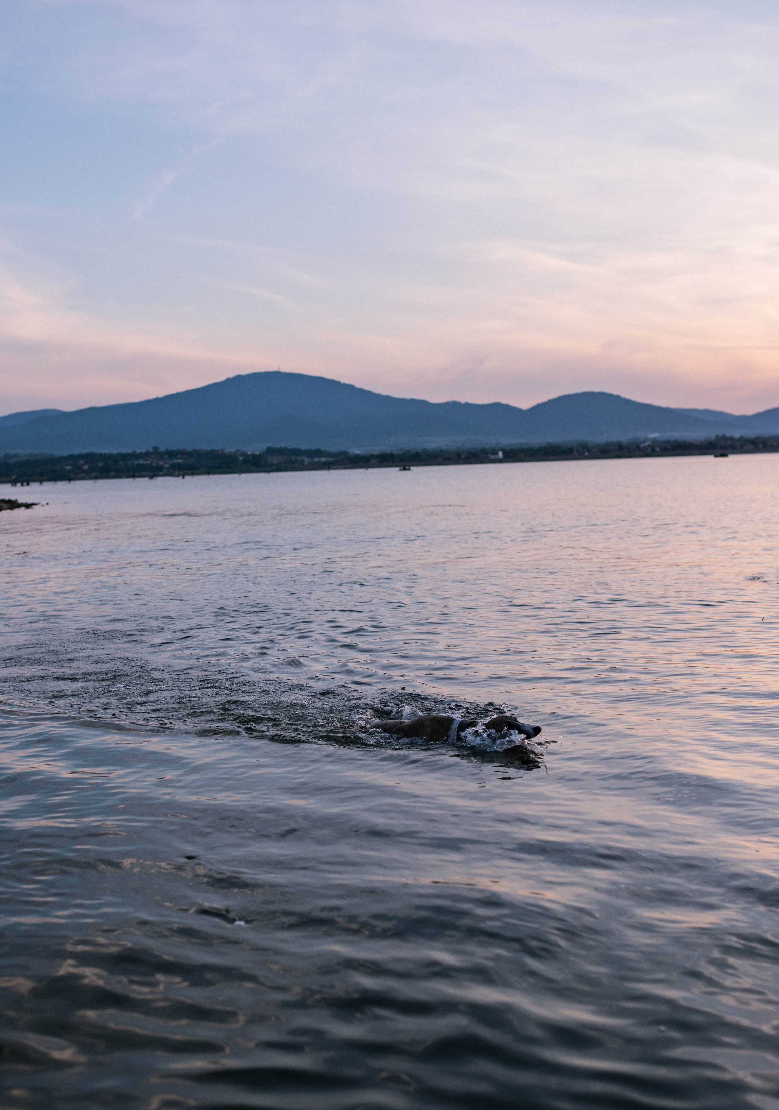 Pasha, Sasha I Taja. Home page