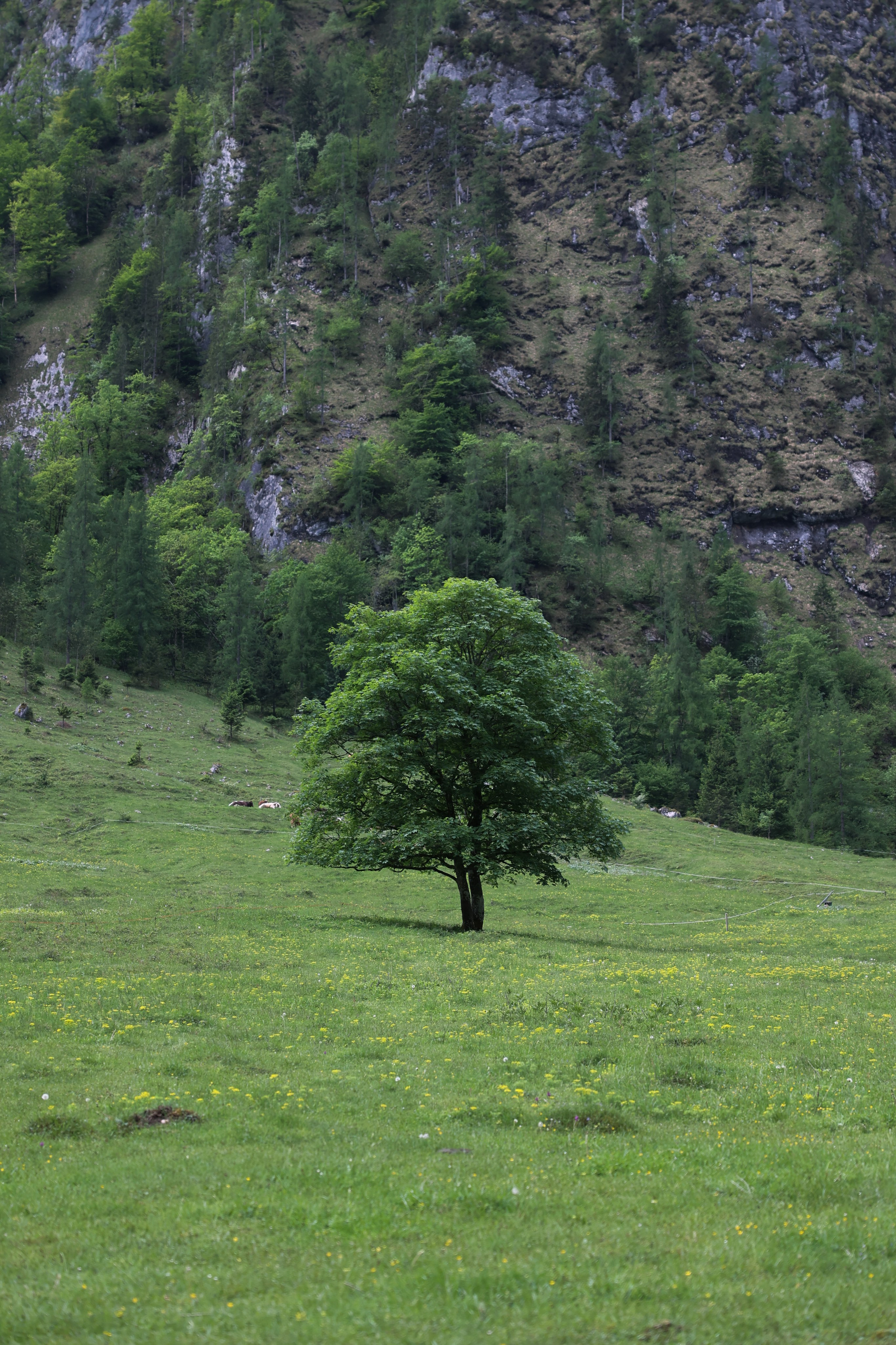 Love Story. Fotografo Videomaker Drone Padova Venice Italy Elena Radchenko