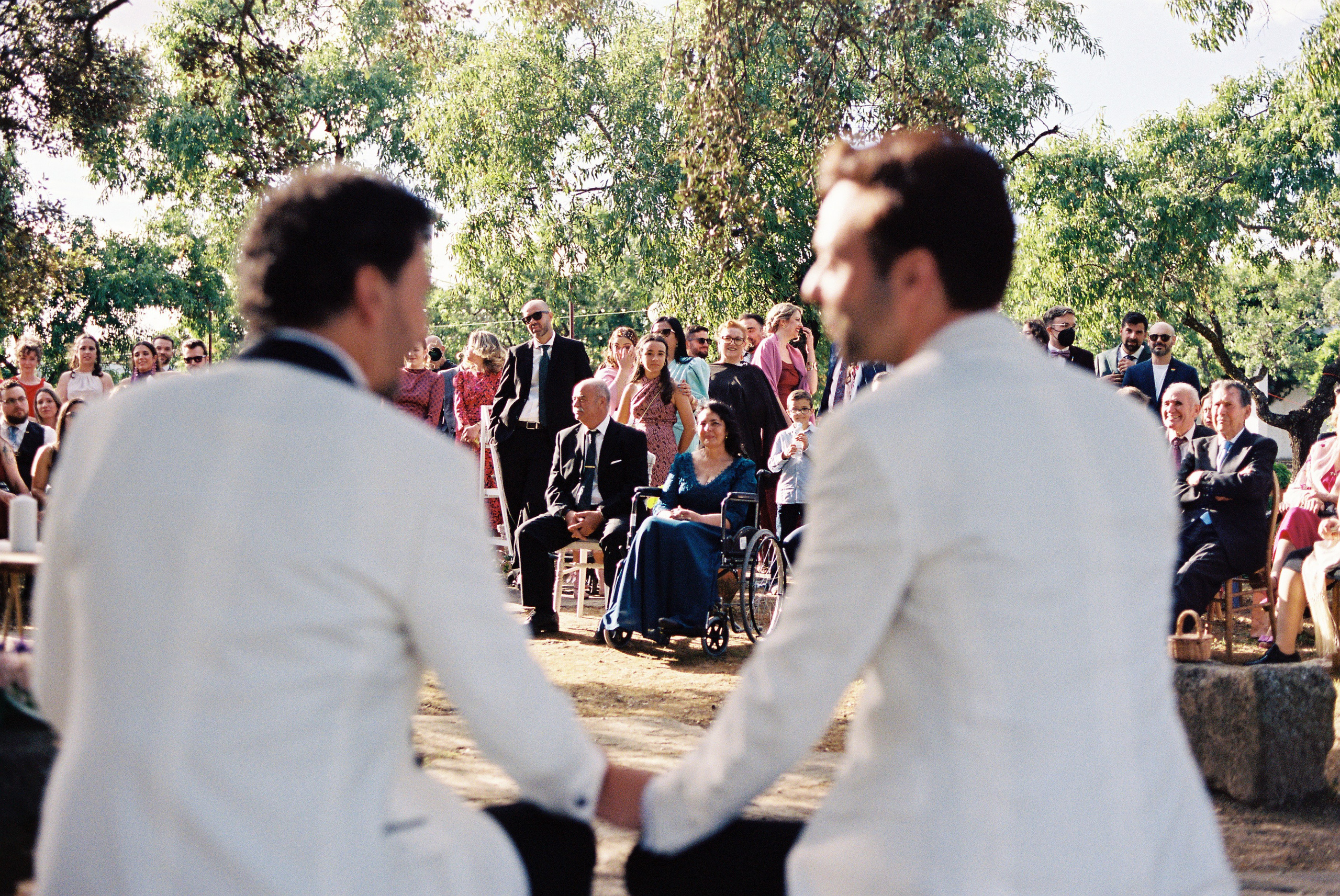 Servicios de fotografía y vídeo de bodas | Alianza Weddings