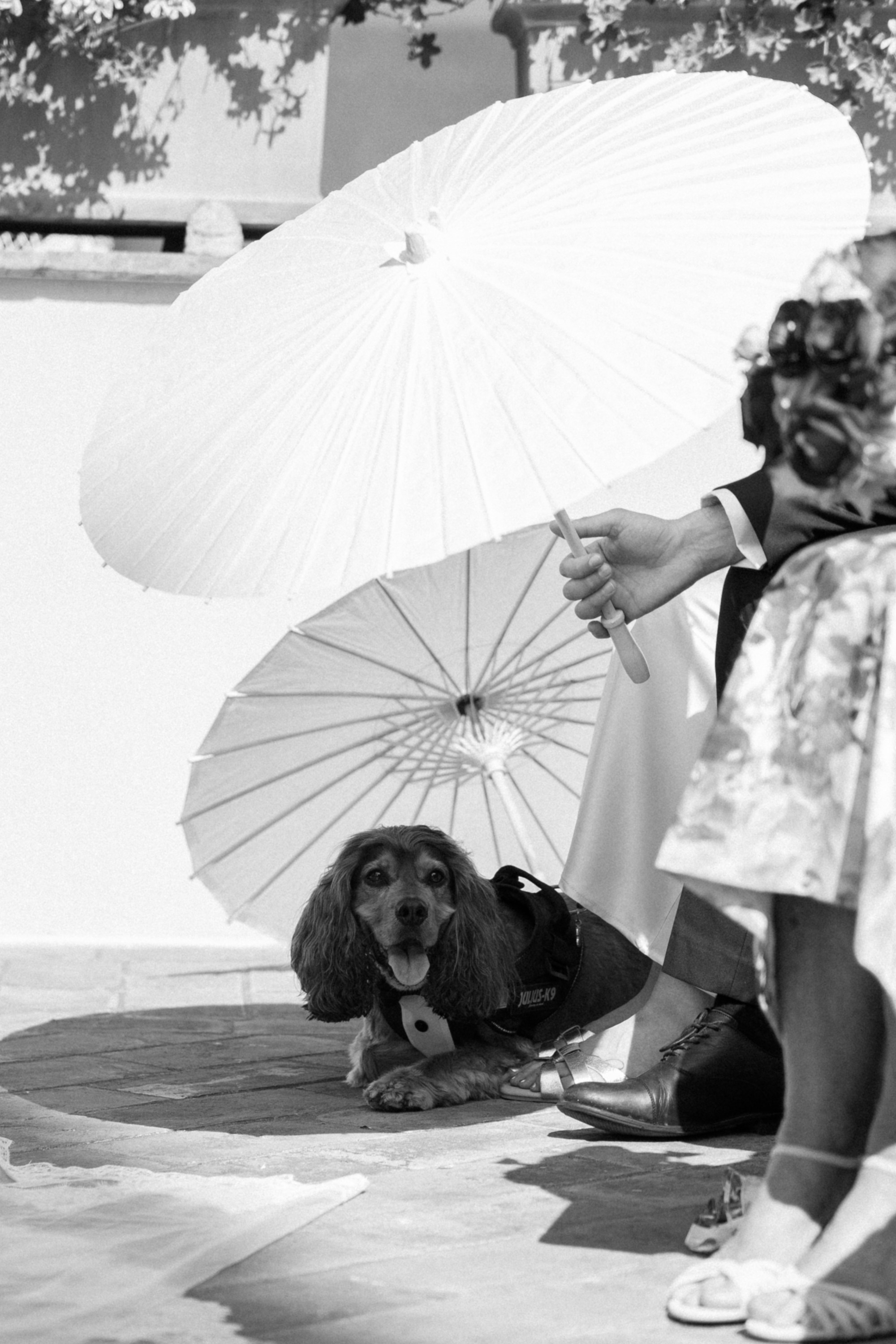 Andrew 🤍 Tilly in Tuscany. Fotografa Rimini