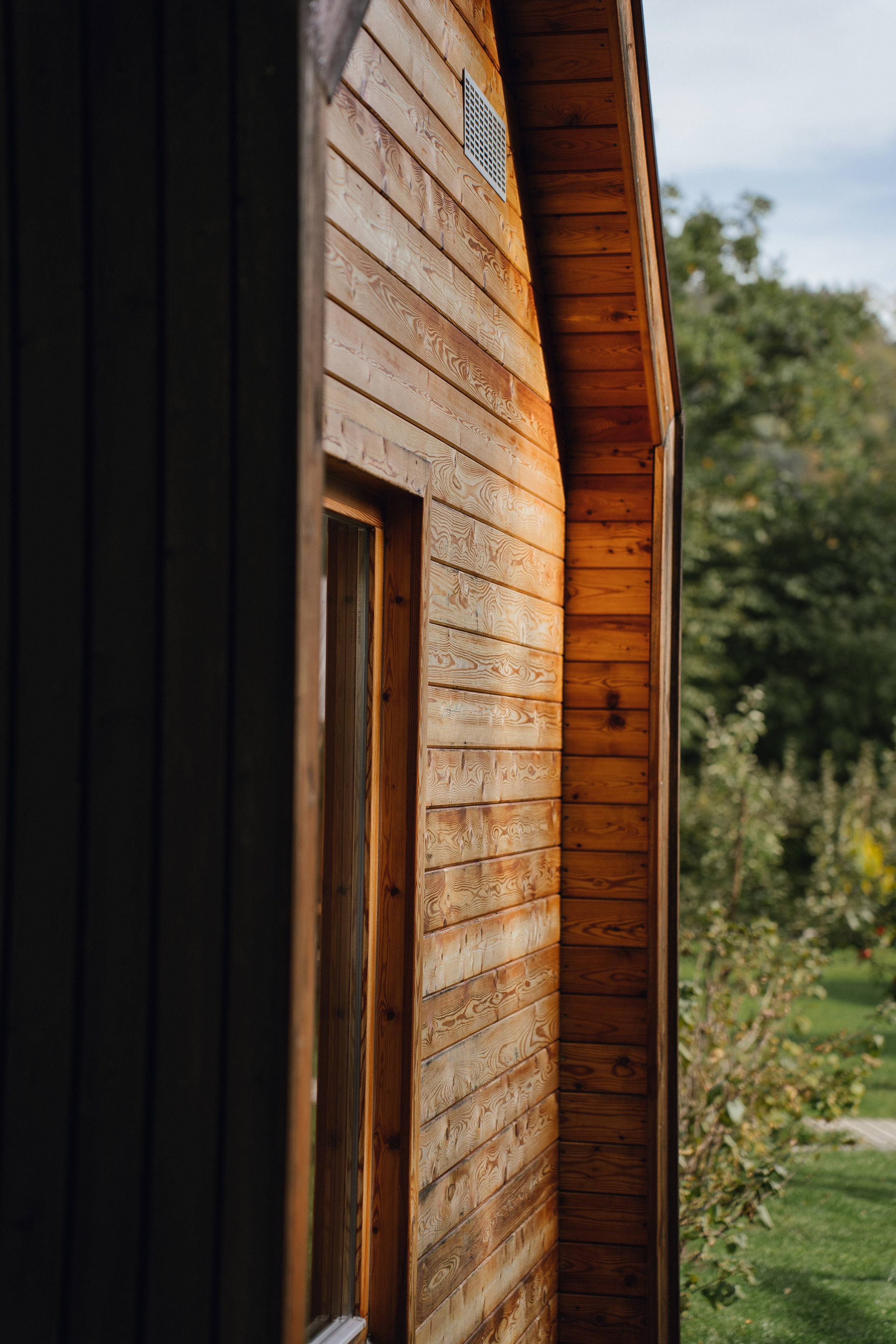 Airbnb. Patricia Morenci — Mountain Adventures for the Wild at Heart