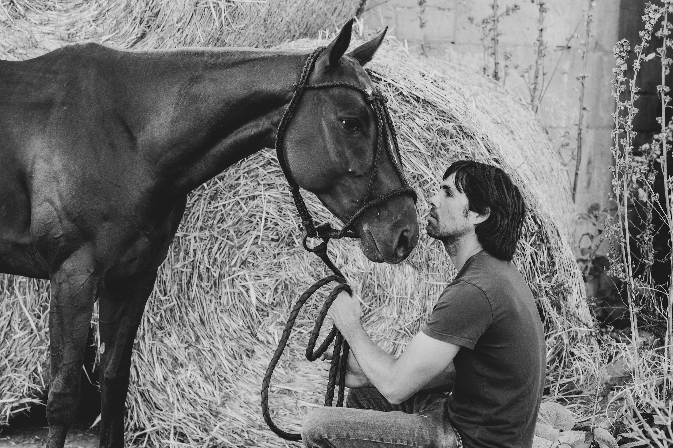 Photo shoot with horses