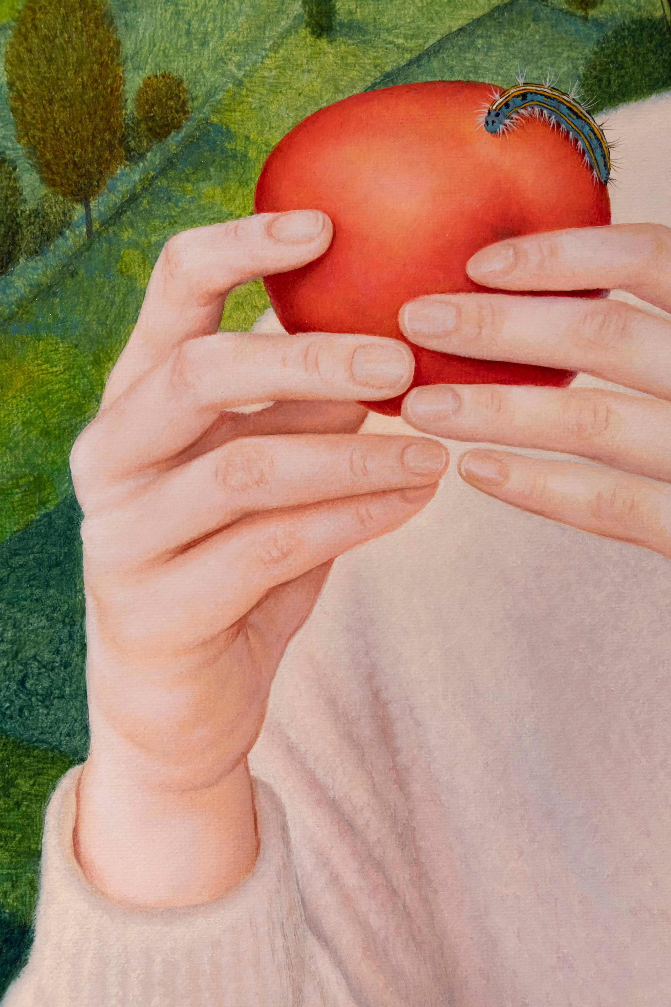 Malacosoma Neustria. ELEN BEZHEN