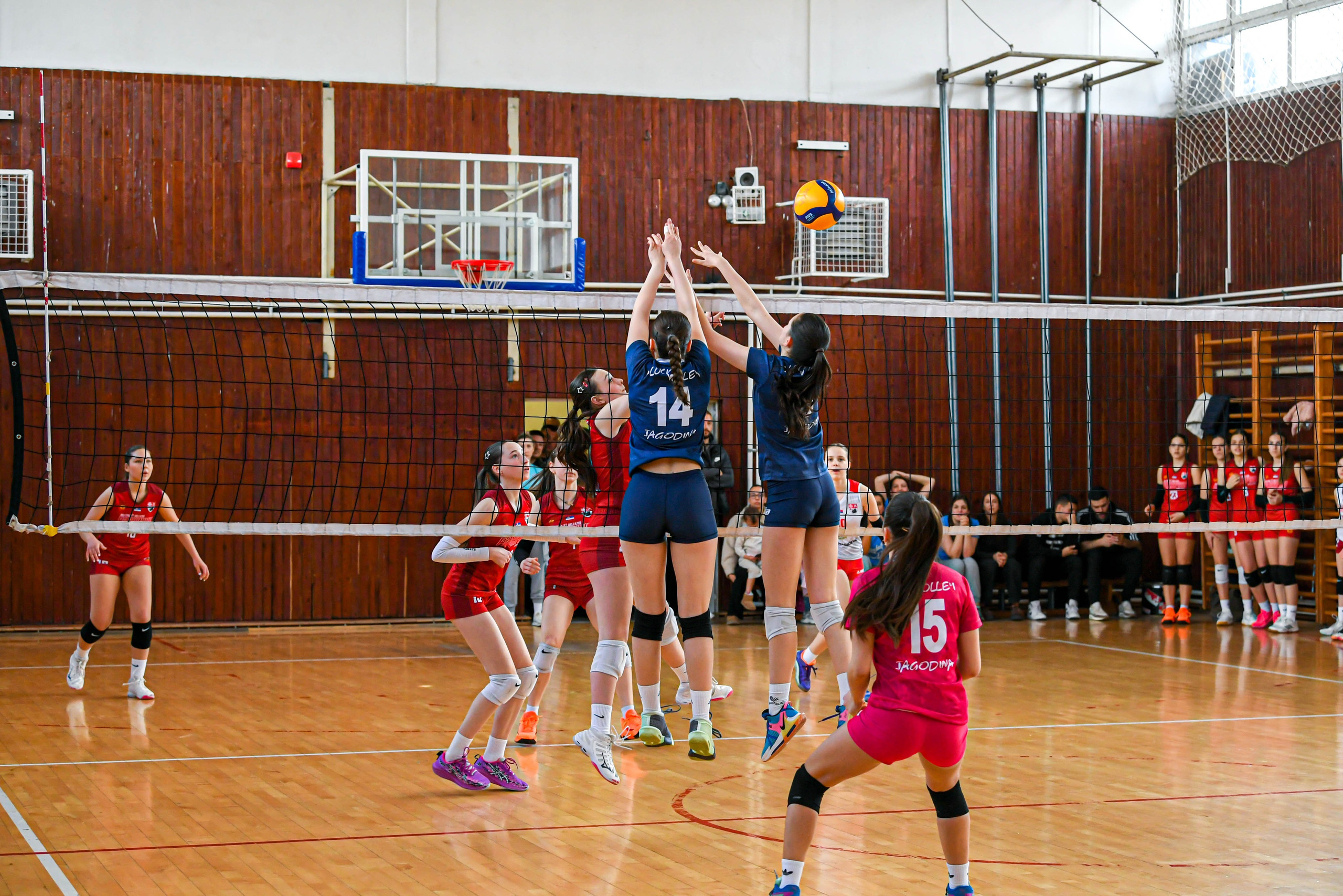 Odbojka 22.03.  Radnicki KG — BlockVolley JAG. Foto Simic Jagodina