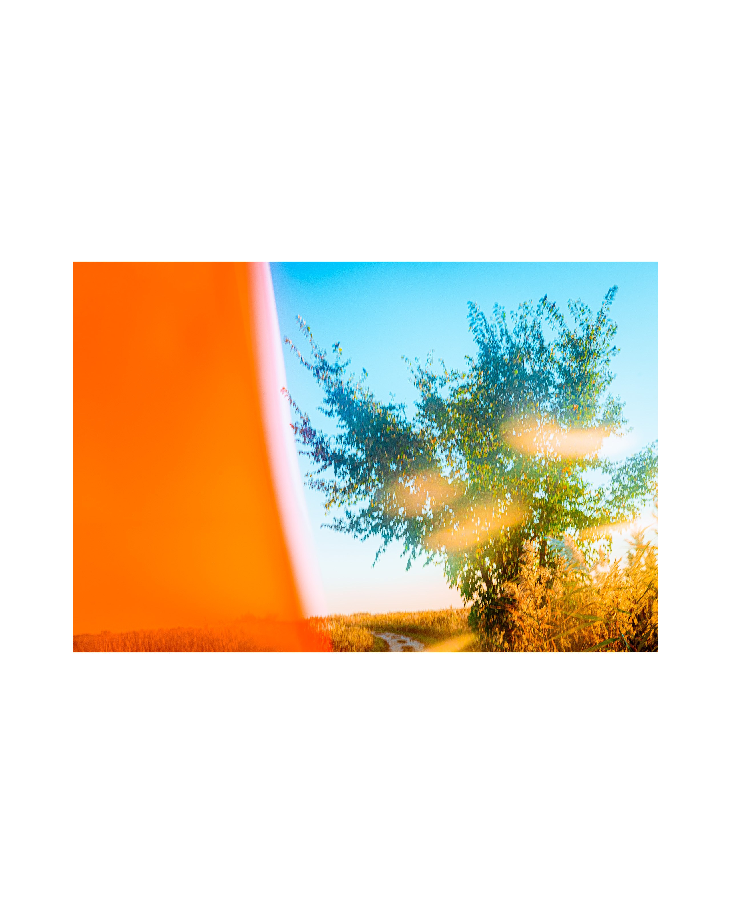 Nature from Exaggerated Worlds. Ekaterina Tsurkina-Appina Photography Canada