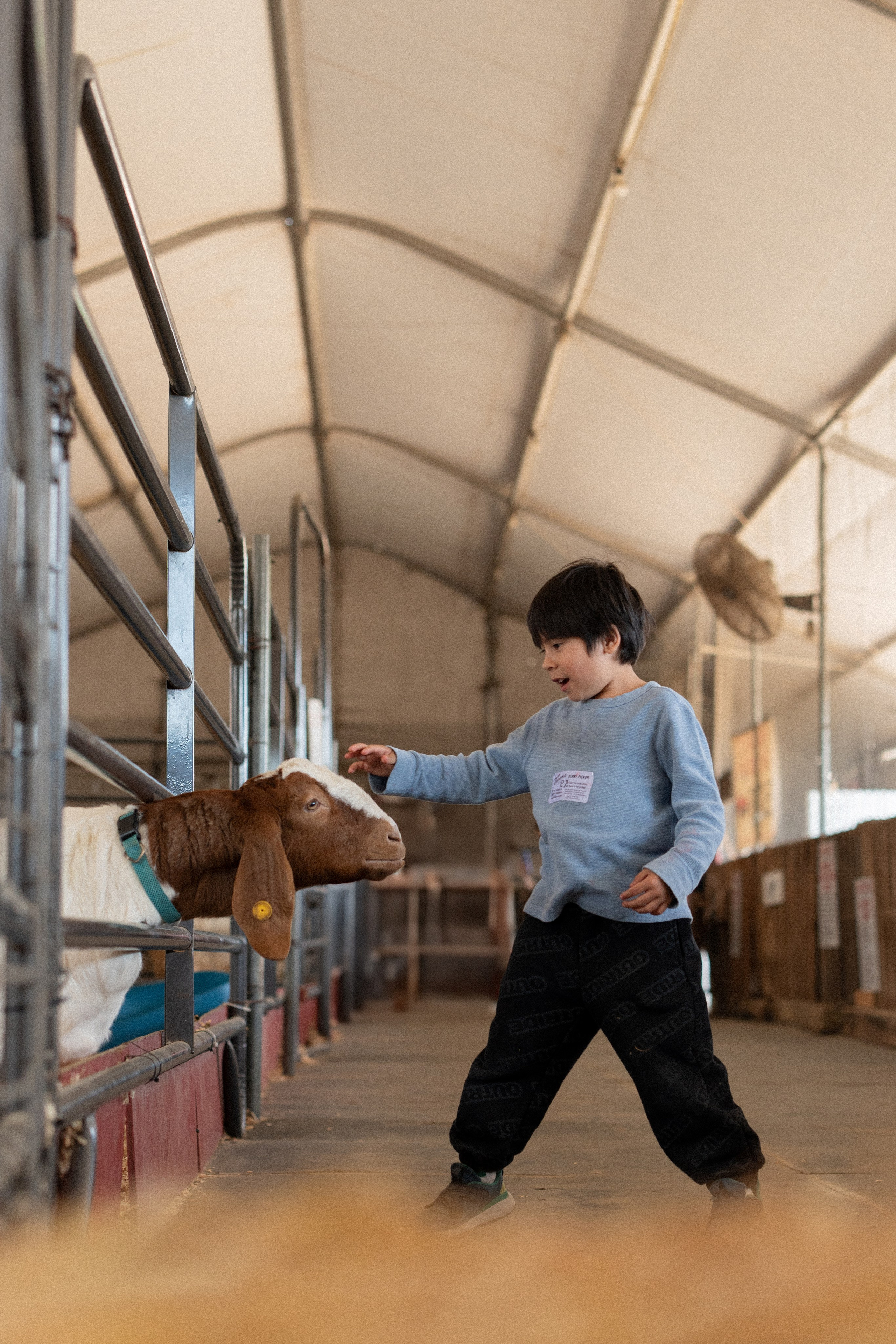 Strawberry Fun Farm. Mom and Son Shoot. Portrait, family, maternity & wedding photography & videography in SoCal Kseni Vibe