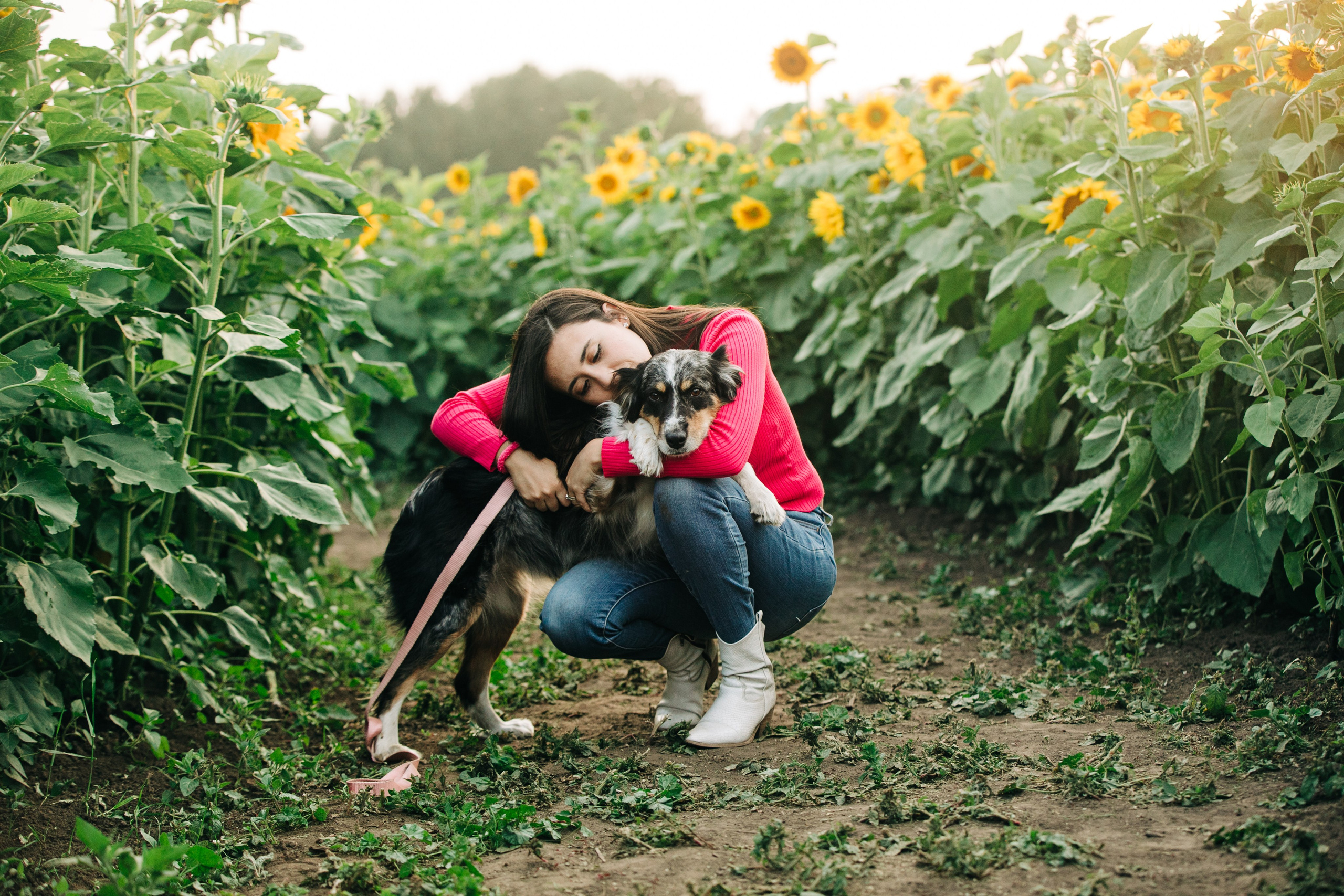 Bowden Sunmaze Ana Pau. Fotografía accesible en Calgary