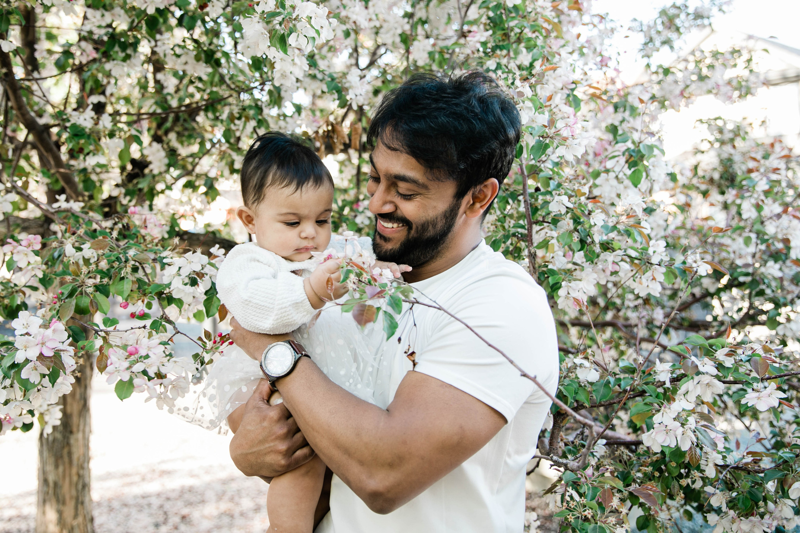 Nabeel Cherry Blossoms. Fotografía accesible en Calgary
