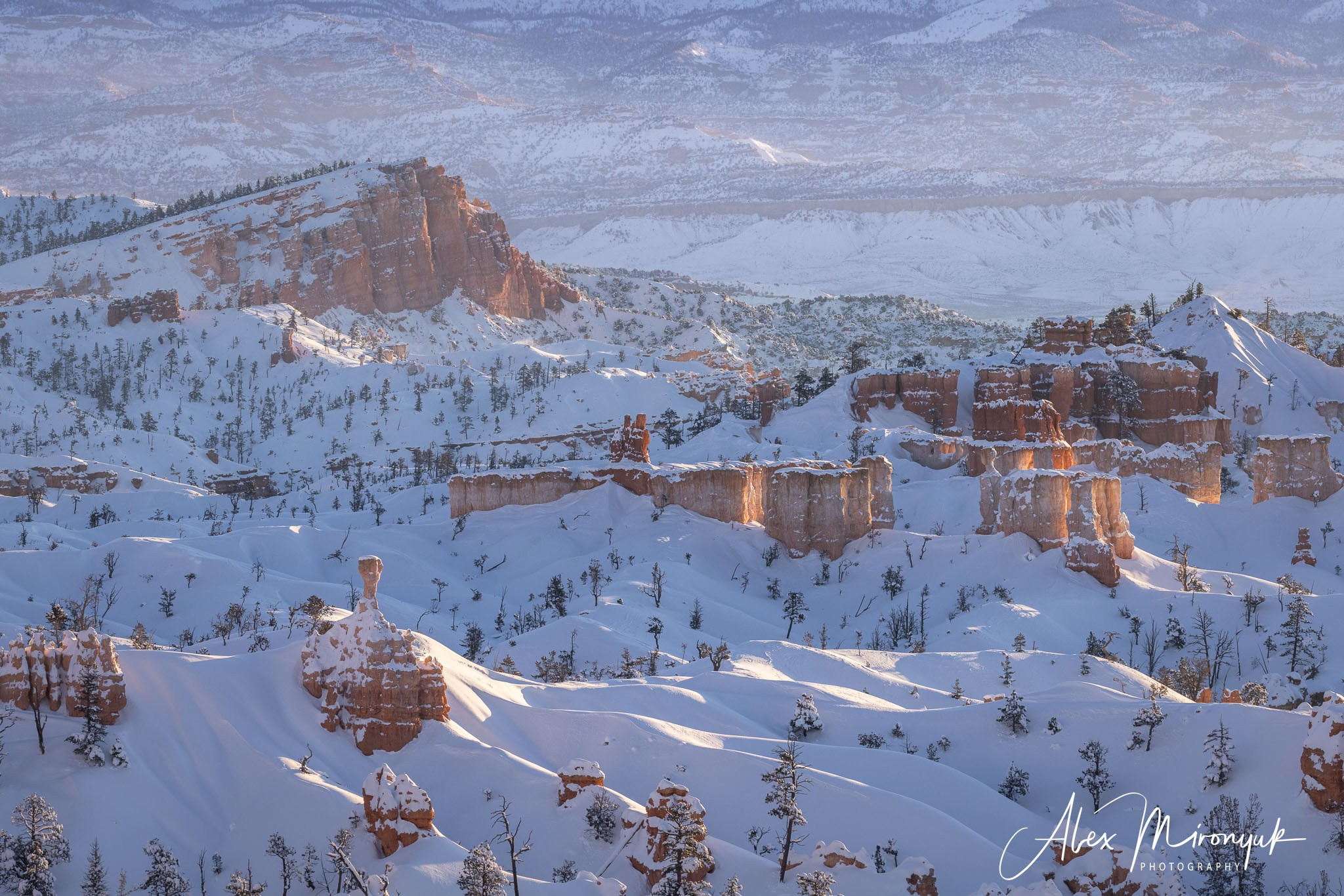 New Year In Utah. Pet, Senior, Landscape, portrait studio, photographer in Miami and Sou