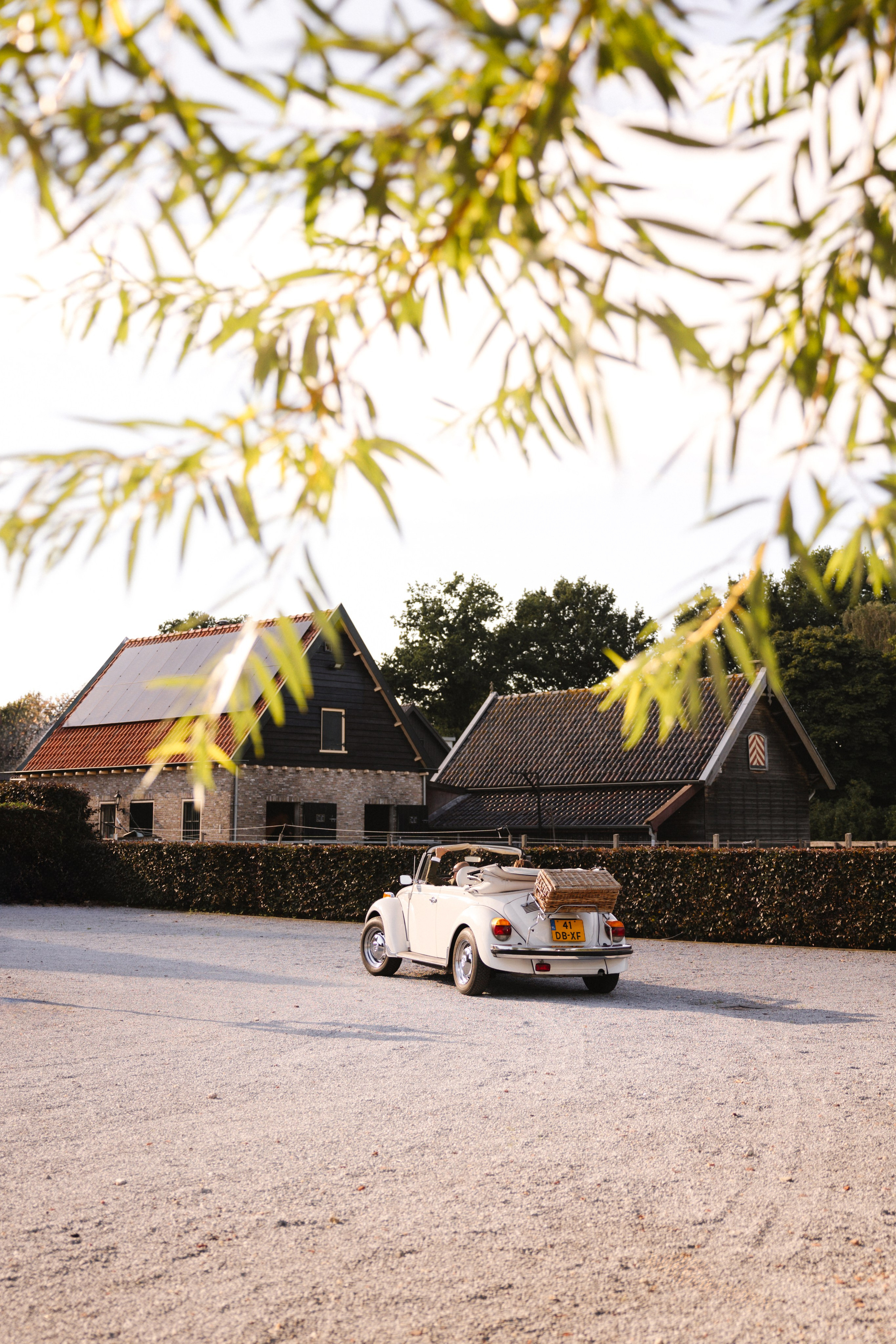 Emin and Saida. Yuliya Vaschenok — Photographer in the Netherlands