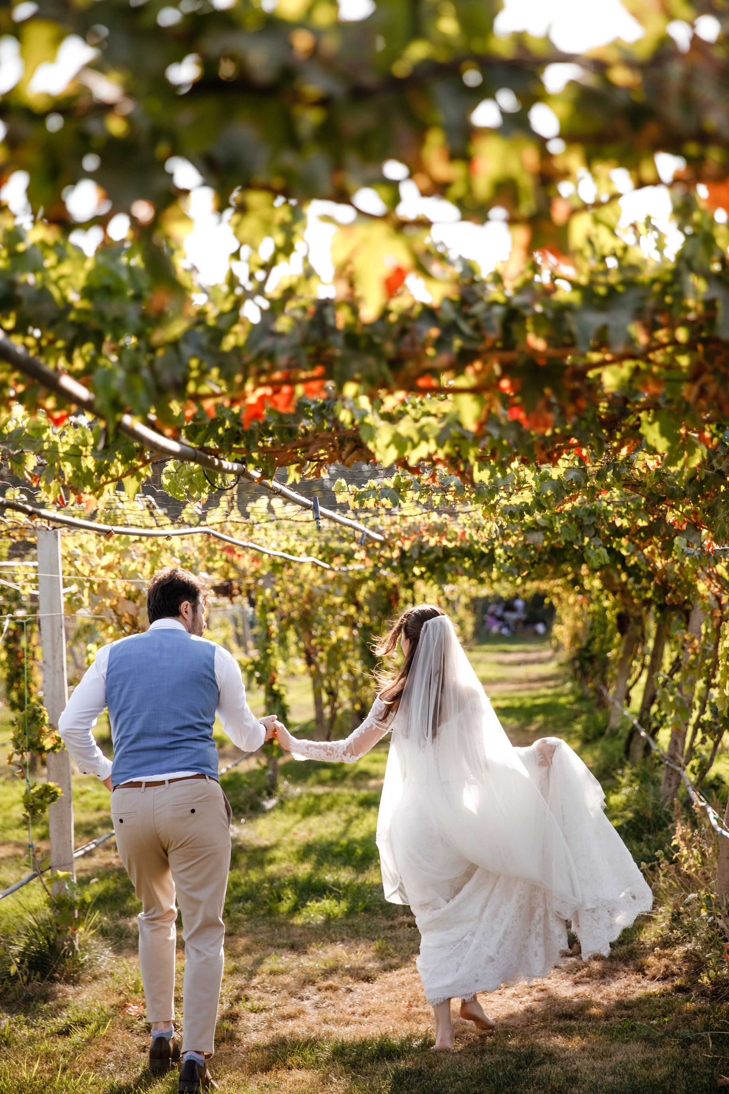 Свадьба на винодельне. Фотограф Вероника Яцына в Ташкенте