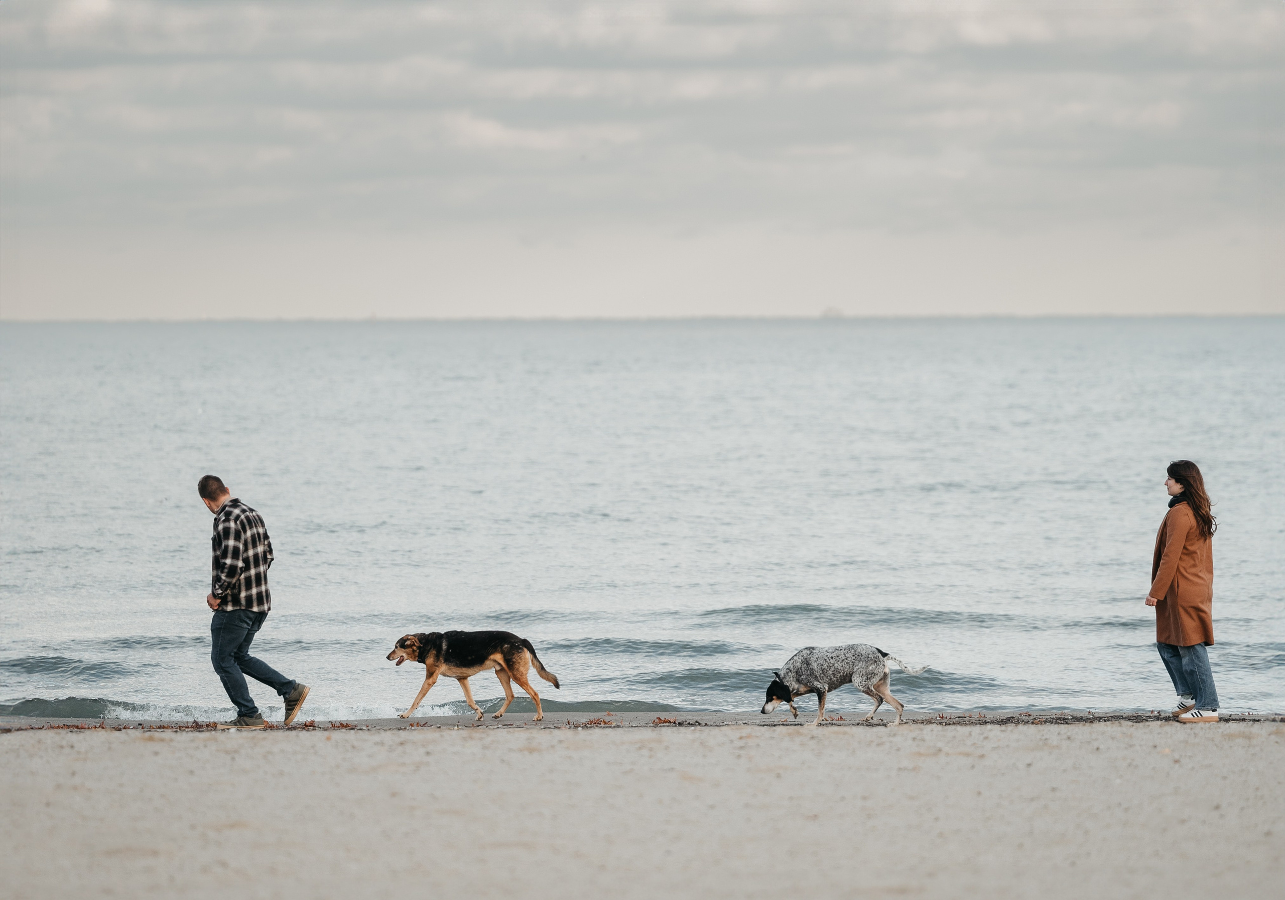 Racer & Delly. Pet Photographer Viktoriya Aleshenko