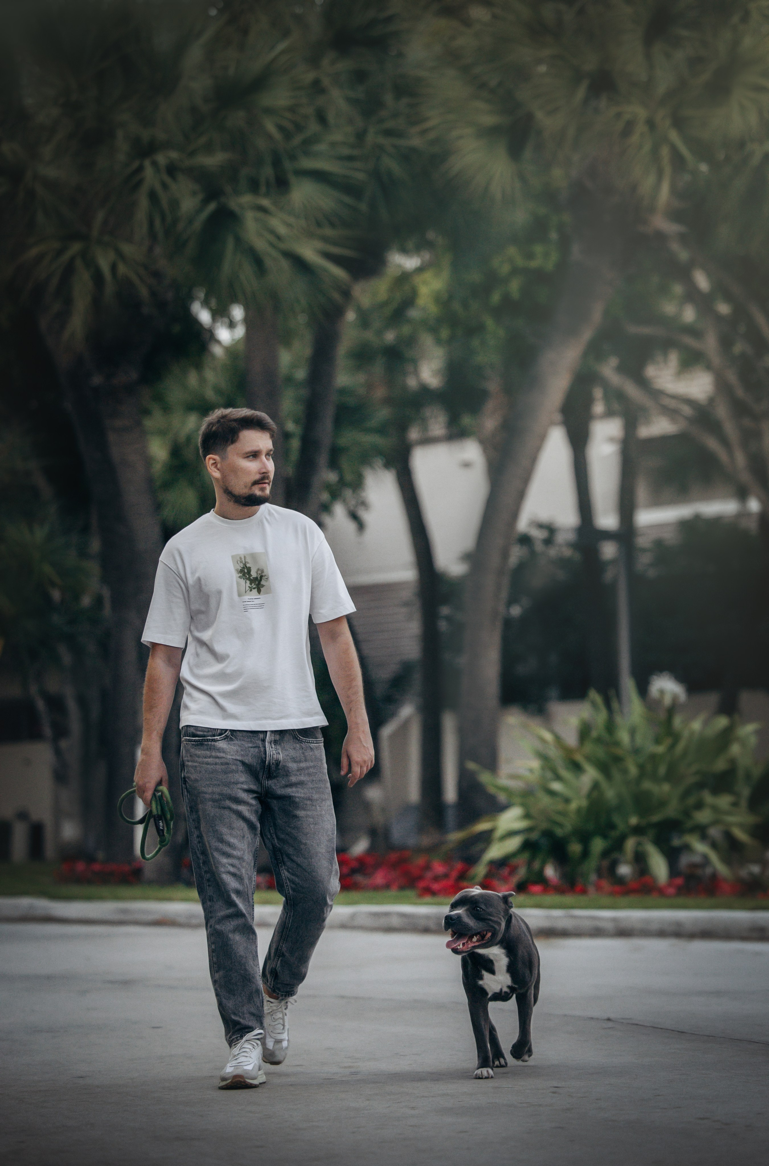 Cosmo & Serge. Pet Photographer Viktoriya Aleshenko